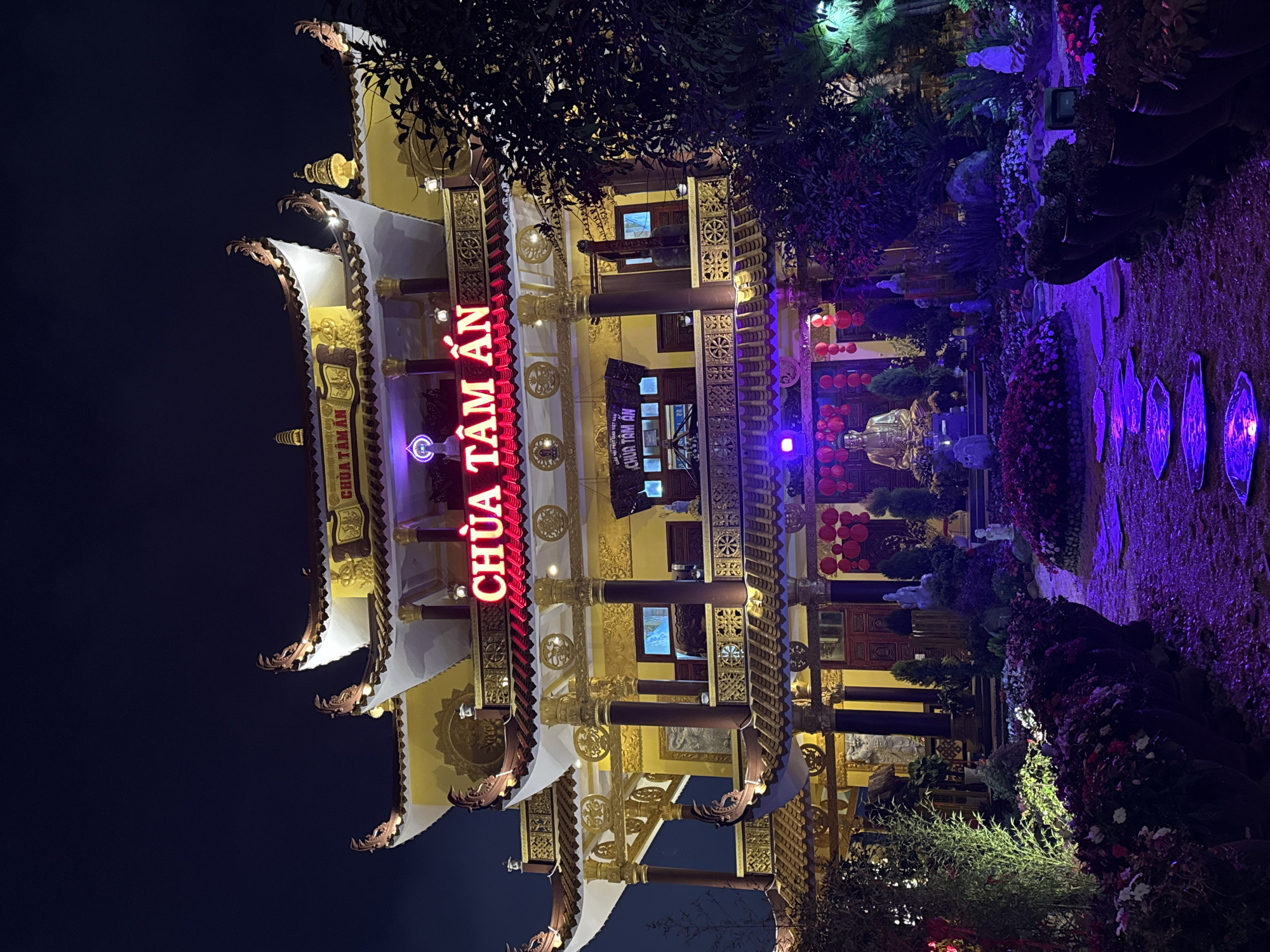 The image shows the exterior of the Chua Tam An temple in Da Lat, Vietnam, at night. The temple is a multi-tiered, ornate structure with yellow walls, dark brown columns, and a distinctive red neon sign that reads "CHUA TAM AN" vertically. The architecture features traditional curved eaves and decorative elements.
In front of the temple is a garden illuminated with blue-purple lighting. Statues, plants, and decorative stones are arranged in the garden. Red lanterns hang near the temple entrance. The overall impression is one of vibrant colors and traditional architecture.