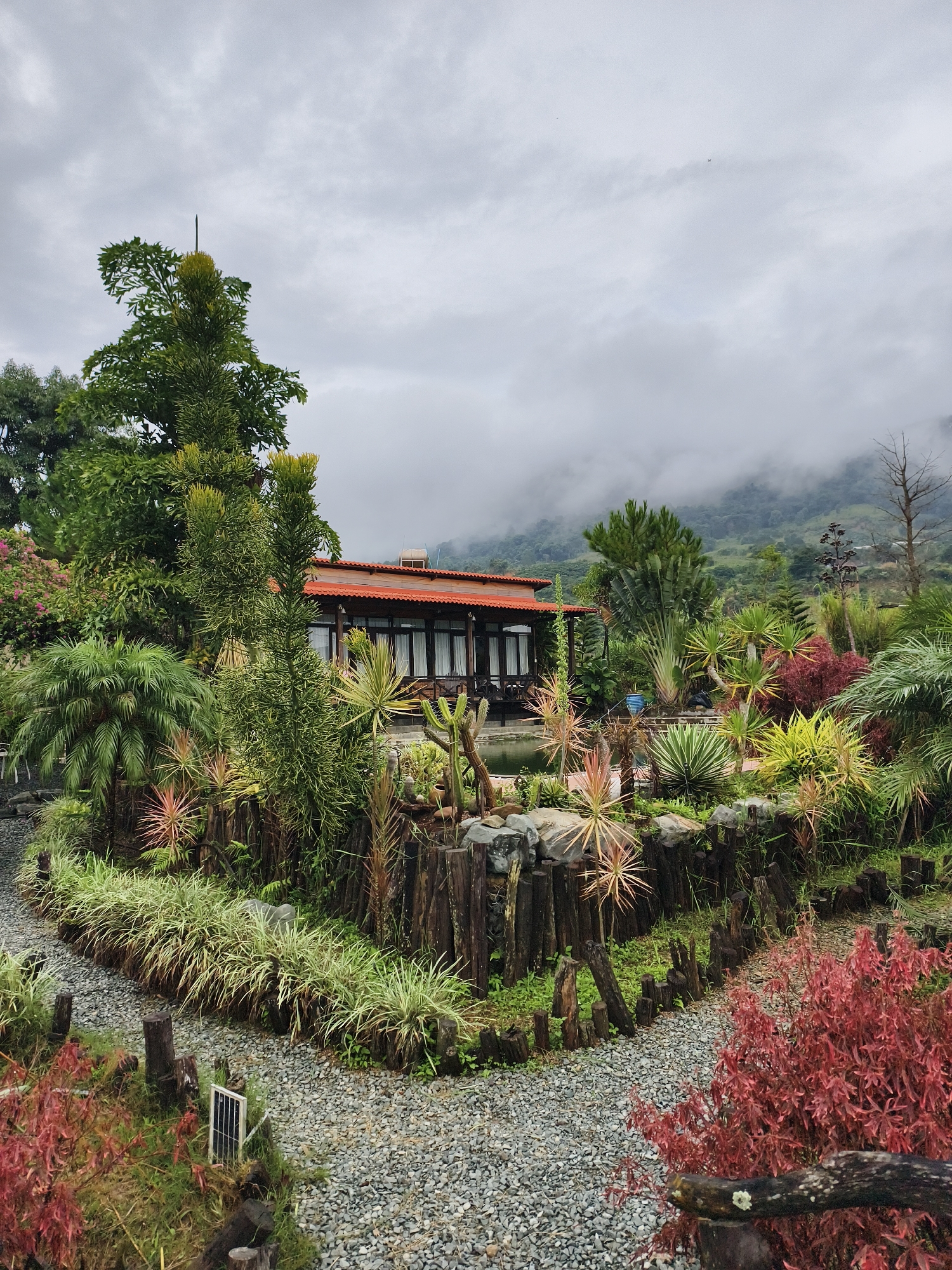A ground-level photograph shows a lush, verdant garden situated in front of a house with a red-tiled roof and a dark-framed porch. The foreground displays a gravel path that forks into two directions, with wooden posts marking the edges. The garden is abundant with various plants, including broad-leafed trees, spiky cacti, and colorful foliage. The house, partially obscured by the dense vegetation, is the focal point of the scene. In the background, a mountain range is veiled by a thick layer of fog and clouds. The sky is overcast, suggesting a damp or rainy atmosphere.