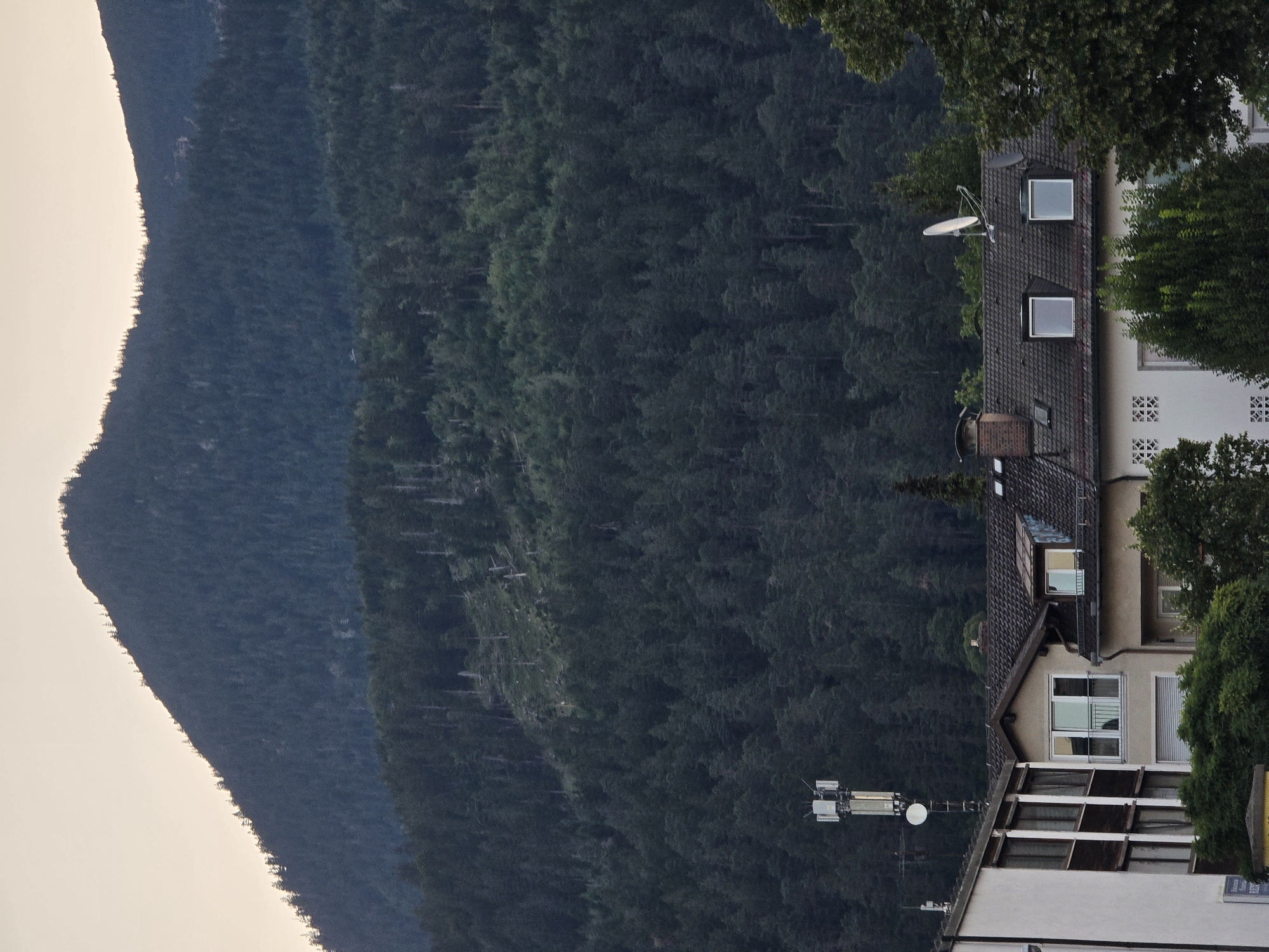 This is a vertical, eye-level, full shot of a wooded mountain slope behind buildings in Garmisch-Partenkirchen, Germany. The sky is a pale yellow, suggesting early morning or late evening. The mountain is covered in dark green evergreen trees. A portion of the mountain face shows signs of deforestation with sparse, lighter-colored trees and bare patches. In the foreground, a cellular tower stands to the left of frame, tall and white with three rectangular antennas. Below and to the right of the tower are several buildings with dark tiled roofs. Two buildings in the center have light-colored facades, one with a white frame window and balcony, and another with two dormer windows. Trees and bushes are visible in front of and between the buildings.