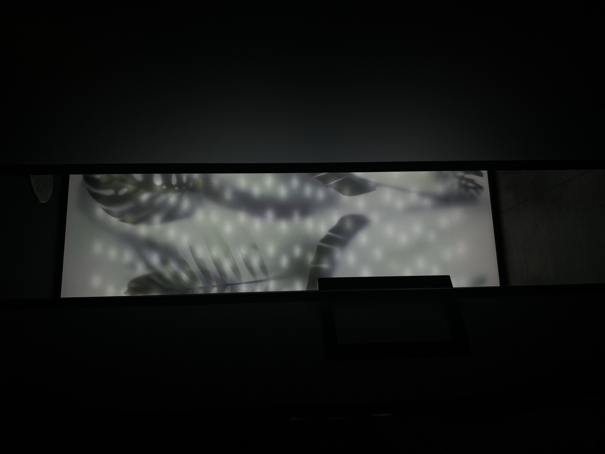 The image shows a dark room with a rectangular window or display showing a blurred image of tropical leaves with white dots in the background. The window appears to be positioned high up in the wall. Below the window are dark, flat surfaces, possibly parts of furniture or architectural elements. The overall environment is dimly lit and modern in style. There are no people visible. The location in Votkinsk, Russia cannot be ascertained from the image.