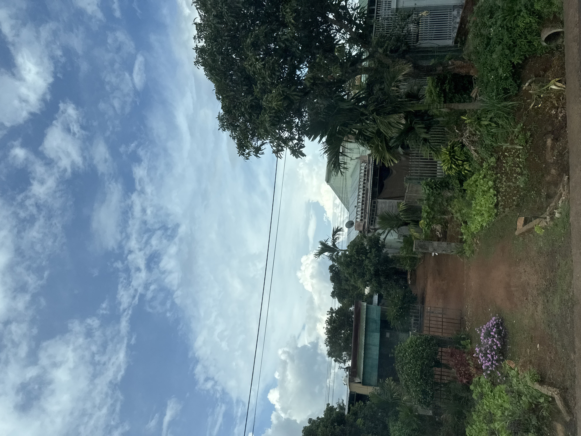 The image captures a residential scene in Chư Sê, Vietnam. The foreground shows a dirt path leading through a yard filled with lush greenery and some flowering plants. A metal gate stands open along the path. Several houses with tin roofs are visible in the background, partially obscured by mature trees and palm trees. Power lines stretch across the sky, which is dotted with white cumulus clouds against a blue backdrop. The overall impression is of a rural or semi-rural dwelling in a tropical environment.