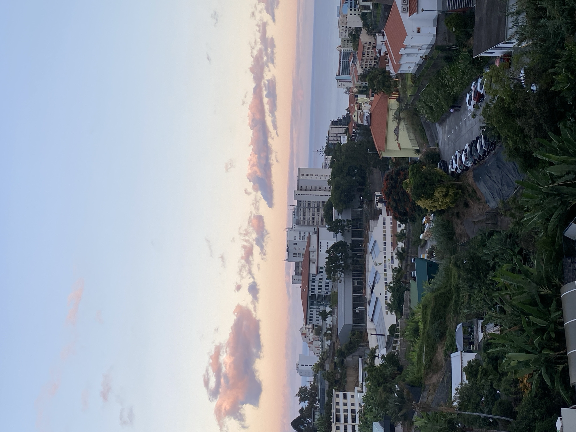 The image shows a cityscape in Funchal, Portugal, overlooking the ocean at sunset. In the foreground, lush green vegetation, including banana trees, covers the slopes. A road winds through the scene, with several cars parked along its edge. Buildings of various sizes and architectural styles are visible, including a large multi-story building with a red-tiled roof and white walls, and a long, flat-roofed industrial building with many windows. In the distance, the blue ocean meets the horizon under a sky filled with soft pink and blue clouds.