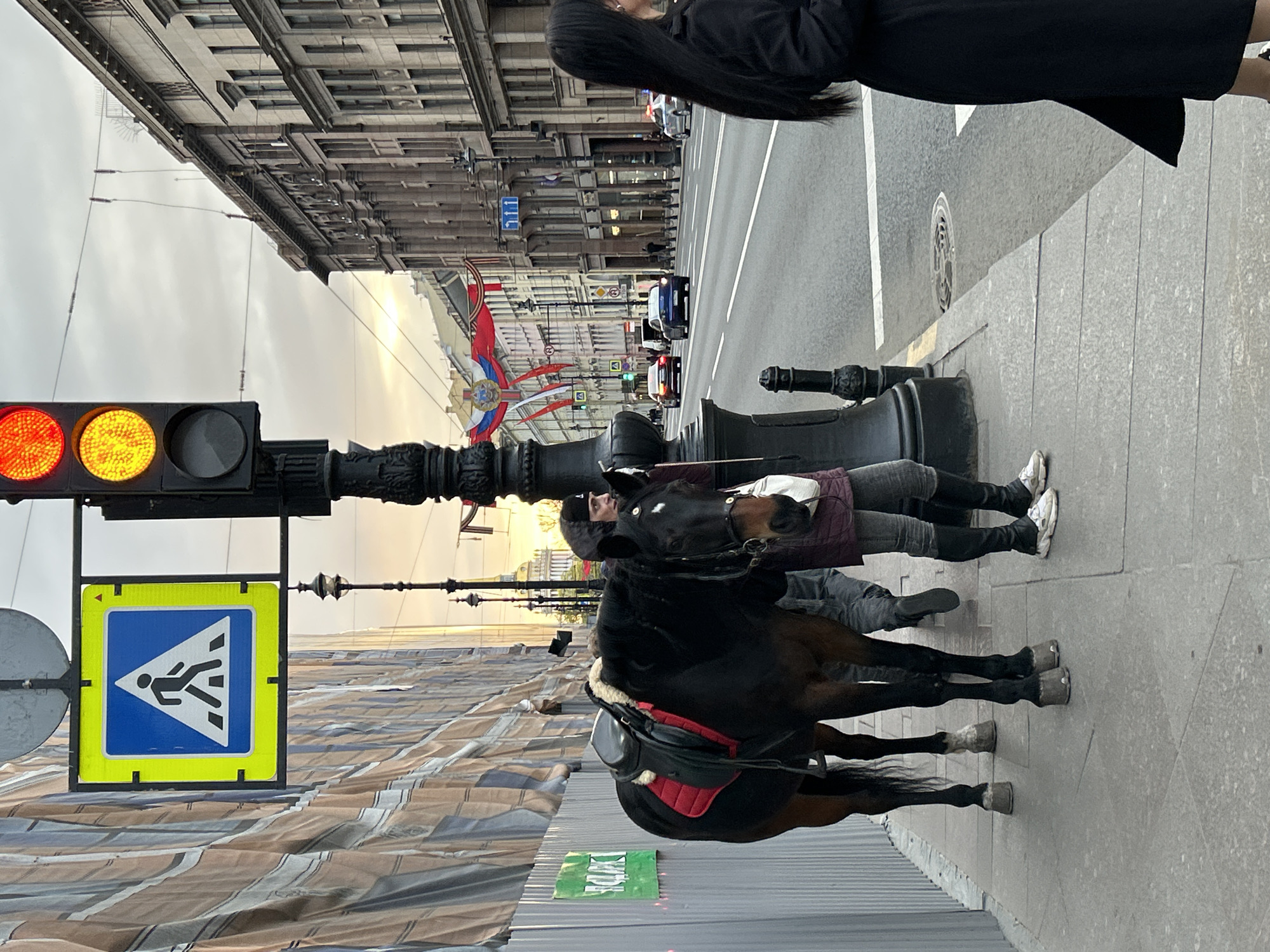 A horse is tied to a lamp post on a sidewalk in Saint Petersburg, Russia. The horse is dark brown with a black mane and tail. It has a saddle on its back and is facing away from the camera. A person stands next to the horse. The background includes a street with cars, buildings, and Russian flags. A pedestrian crossing sign and traffic lights are visible on the left. The sky is overcast.
