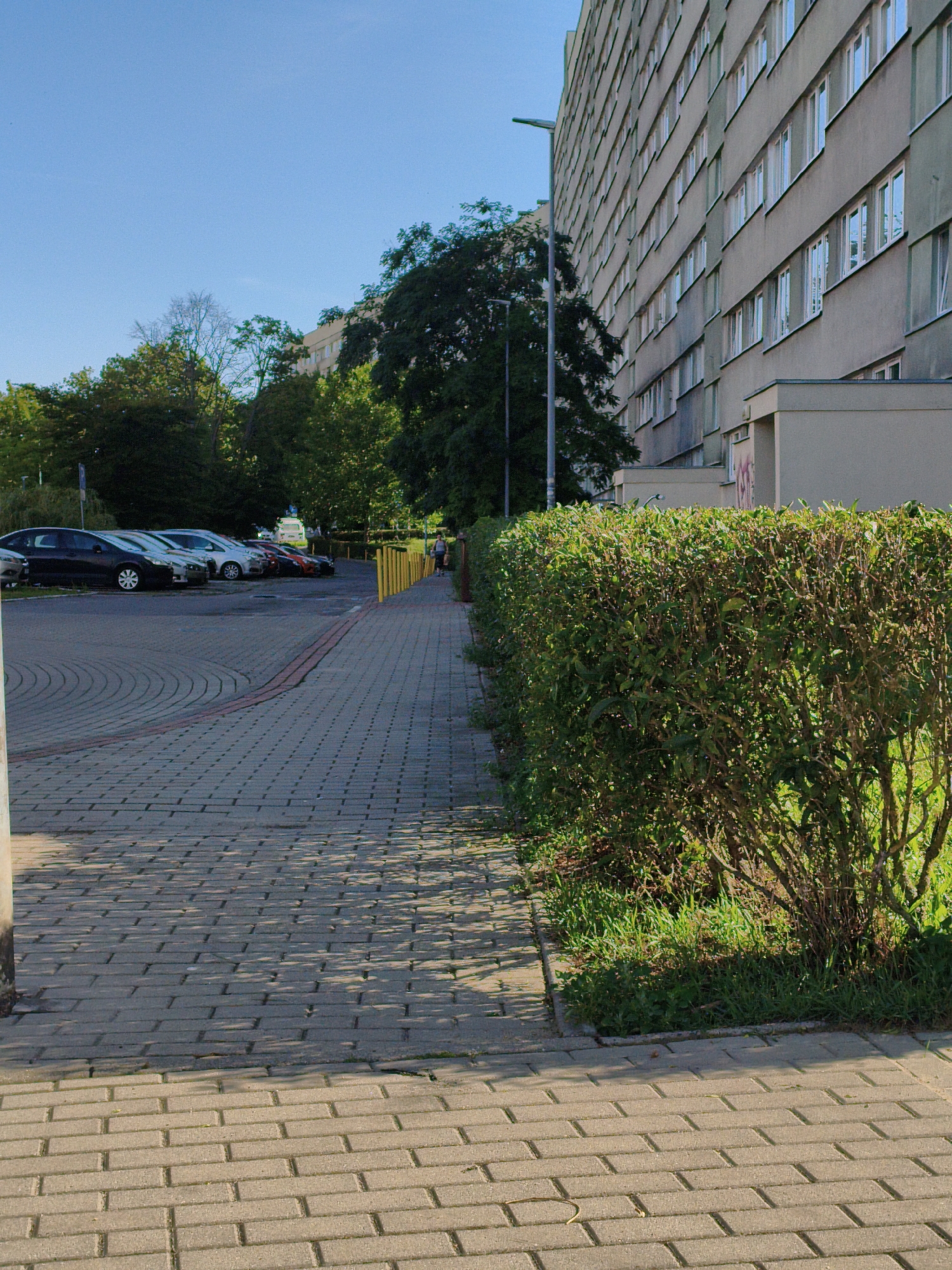 The image depicts a paved walkway leading towards a large, multi-story residential building with many windows. To the left of the walkway is a parking lot with several cars. A neatly trimmed hedge runs along the right side of the walkway, separating it from an area with grass and the building. The sky is clear and blue. Based on visual cues, such as the architectural style of the building and the presence of specific vegetation and street elements, this location is identified as a residential area in Szczecin, Poland.