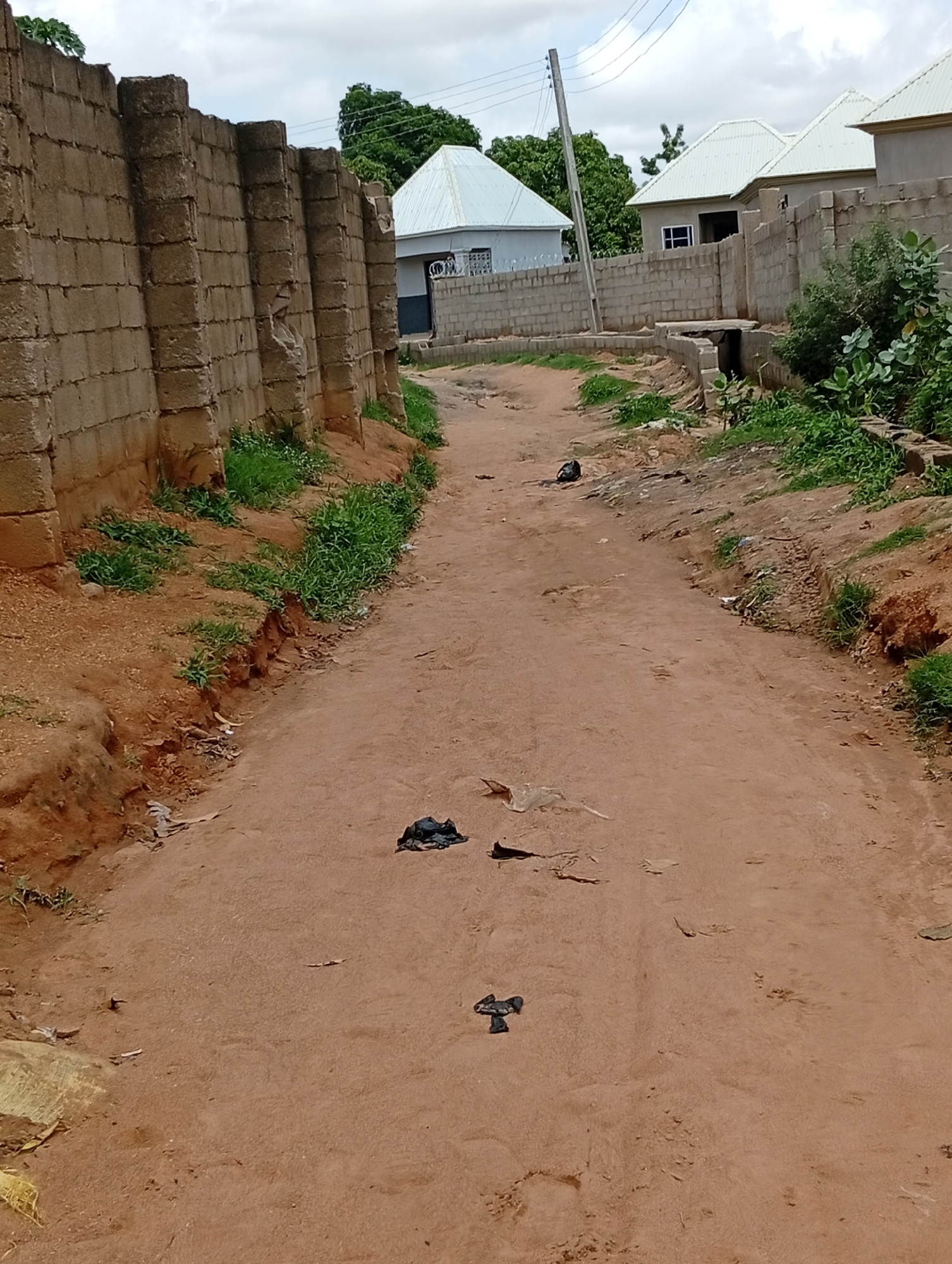 The image depicts an unpaved dirt road in the city of Jalingo, Nigeria, characterized by a weathered brick wall on the left side. Several unfinished houses with corrugated metal roofs are visible in the background. The road itself is dusty and shows signs of recent wear, with tire tracks and footprints imprinted on its surface. Scattered along the roadside and on the road are various pieces of debris, including plastic bags and other discarded items, indicating a lack of regular waste management in the area. Green vegetation, including grass and bushes, grows sporadically along the edges of the road and in front of the houses, some of which appears overgrown. A utility pole with electrical wires is situated on the right side of the image, extending into the sky. The sky is overcast, suggesting a cloudy or possibly rainy day. The overall scene portrays a developing urban environment with elements of both construction and neglect.