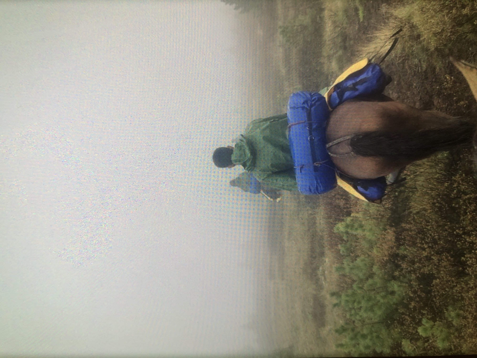 A photograph shows a group of people riding horses through a foggy landscape. The lead horse is brown with a blue and yellow pack. The rider is wearing a green coat and a black cap. The terrain appears to be a grassy field with scattered trees. The location is unknown.