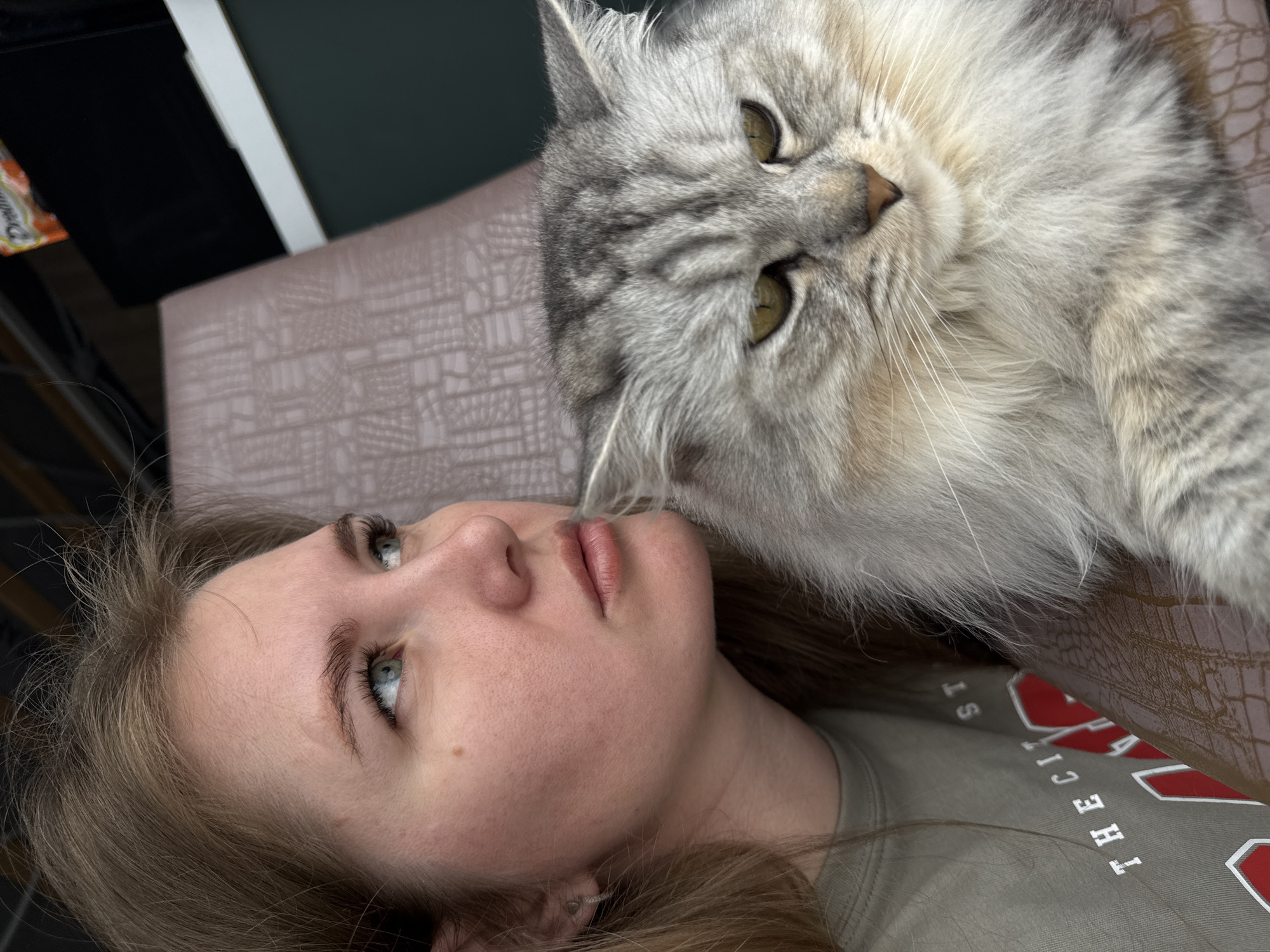 A woman is lying on her back next to a fluffy gray cat. The woman has blonde hair, light skin, and blue eyes. She is wearing a gray t-shirt with red and white lettering. The cat is positioned above her head, with its face close to hers. The background is slightly blurred, but shows a brown patterned surface, possibly a bed or couch. The environment appears to be indoors. The exact location cannot be determined solely from the image.