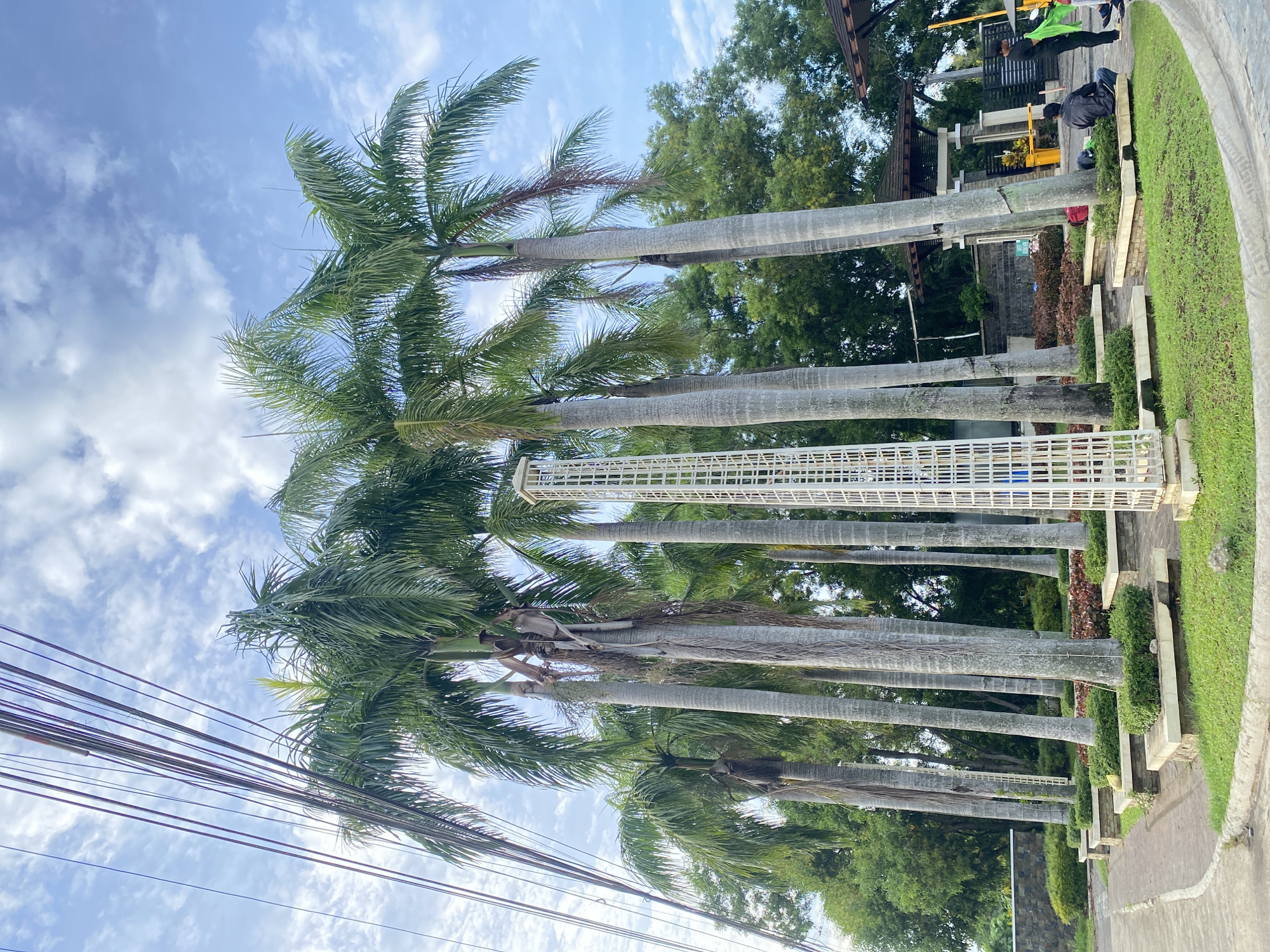 A wide shot captures a view of a resort or residential area entrance in Davao City, Philippines, under a partly cloudy blue sky. In the foreground, a series of tall palm trees are planted in a row along a curved walkway. Some of the palm trees have visible utility wires running above them. A tall, white, lattice-like structure stands prominently in front of the palm trees. Beyond the palm trees, a gate with a brown, open-roofed structure is visible, with two individuals standing near it. One person is seated and wearing a black jacket, while another person stands next to them, holding a green flag. The area is landscaped with grass and small bushes. The overall impression is of a well-maintained outdoor space, likely a formal entrance to a property.