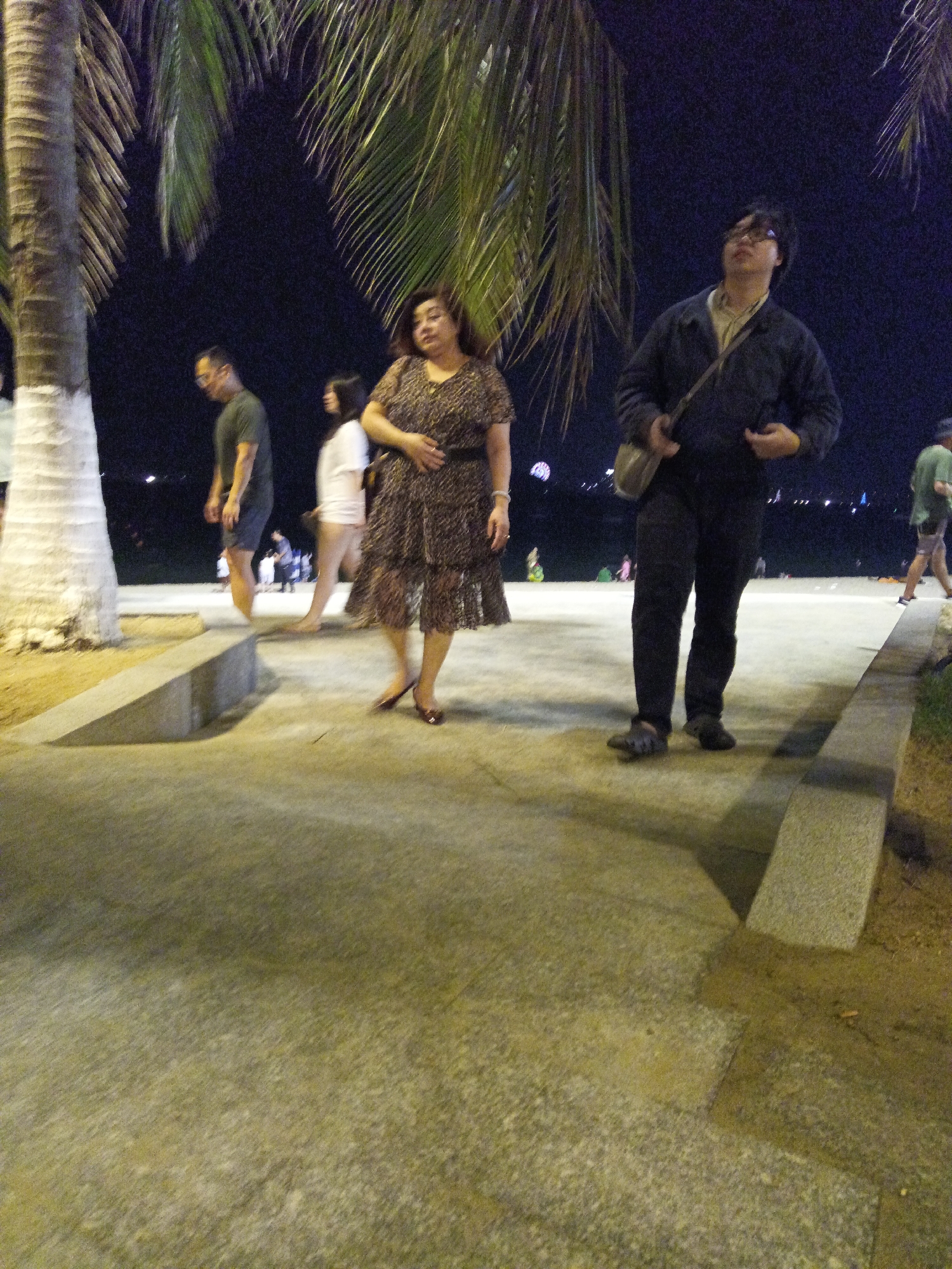 At night, on a paved promenade in Nha Trang, Vietnam, two adults and one child are walking. The promenade is illuminated by artificial lights, casting shadows and creating a dimly lit atmosphere. The background shows a dark sky with some distant lights, possibly from boats or buildings. The scene appears to be a public area, likely a beachside or park setting, given the presence of palm trees and the overall ambiance.
In the foreground, a woman in a patterned dress walks away from the camera, while a man in dark clothing walks towards the camera. A child, possibly a girl, walks between them, slightly behind the woman. The man is wearing glasses and a dark jacket over a lighter shirt, and he is carrying a bag over his shoulder. The woman is wearing a long dress with a floral pattern and high heels. The child is wearing a white top and light-colored shorts.
The promenade is made of concrete and has a low concrete barrier along the edge. The palm trees are tall and slender, with their fronds extending over the walking area. The overall impression is that of a casual evening stroll in a tropical city.