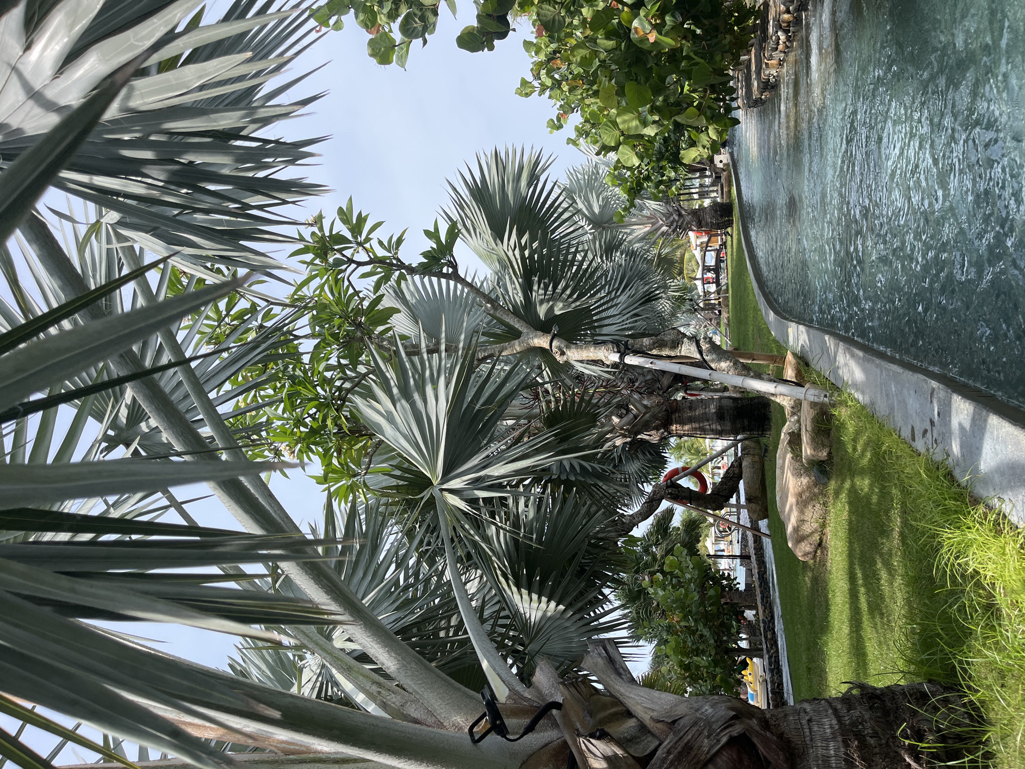 The image depicts a lazy river attraction at VinWonders Nha Trang, located on Hon Tre Island, Nha Trang City, Khanh Hoa Province, Vietnam. The scene is dominated by lush tropical vegetation, including tall palm trees with broad, fan-shaped leaves and smaller leafy trees. A clear, turquoise lazy river flows gently through the foreground, bordered by a concrete path and adorned with decorative rocks and stonework. The river's surface reflects the sky and surrounding greenery, with small ripples indicating a slow current. To the left of the river, a well-manicured lawn features scattered large, smooth boulders. In the background, glimpses of the amusement park can be seen, including colorful structures and other attractions, set against a bright, clear sky. There are no people visible in the immediate foreground or midground, maintaining a peaceful and tranquil atmosphere of a tropical resort.