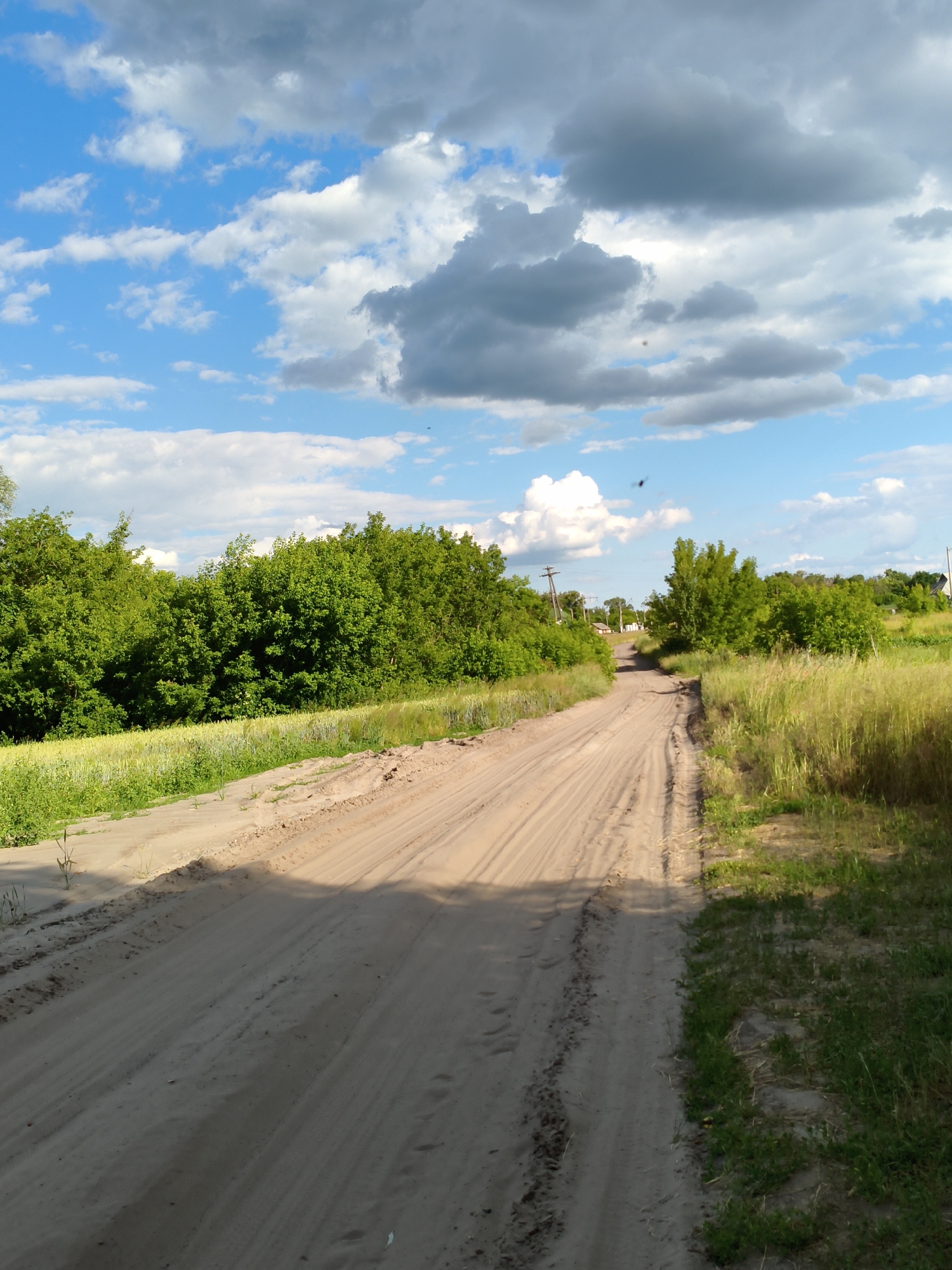 The image depicts a dirt road winding through a rural landscape in Matiashivka, Ukraine. The road is sandy with visible tire tracks, suggesting recent vehicle traffic. Lush green trees line the left side of the road, with a field of tall, golden grass to the right. In the distance, a few houses and utility poles are visible, hinting at a small village or settlement. The sky above is a vibrant blue, dotted with fluffy white and dark gray clouds, indicating partly cloudy weather. The lighting suggests it is daytime, likely late afternoon, as evidenced by the long shadows cast across the road. There is no visible text in the image. The scene evokes a sense of tranquility and openness, characteristic of a rural setting. The focus is on the natural landscape and the unpaved road, emphasizing a simple, country lifestyle.