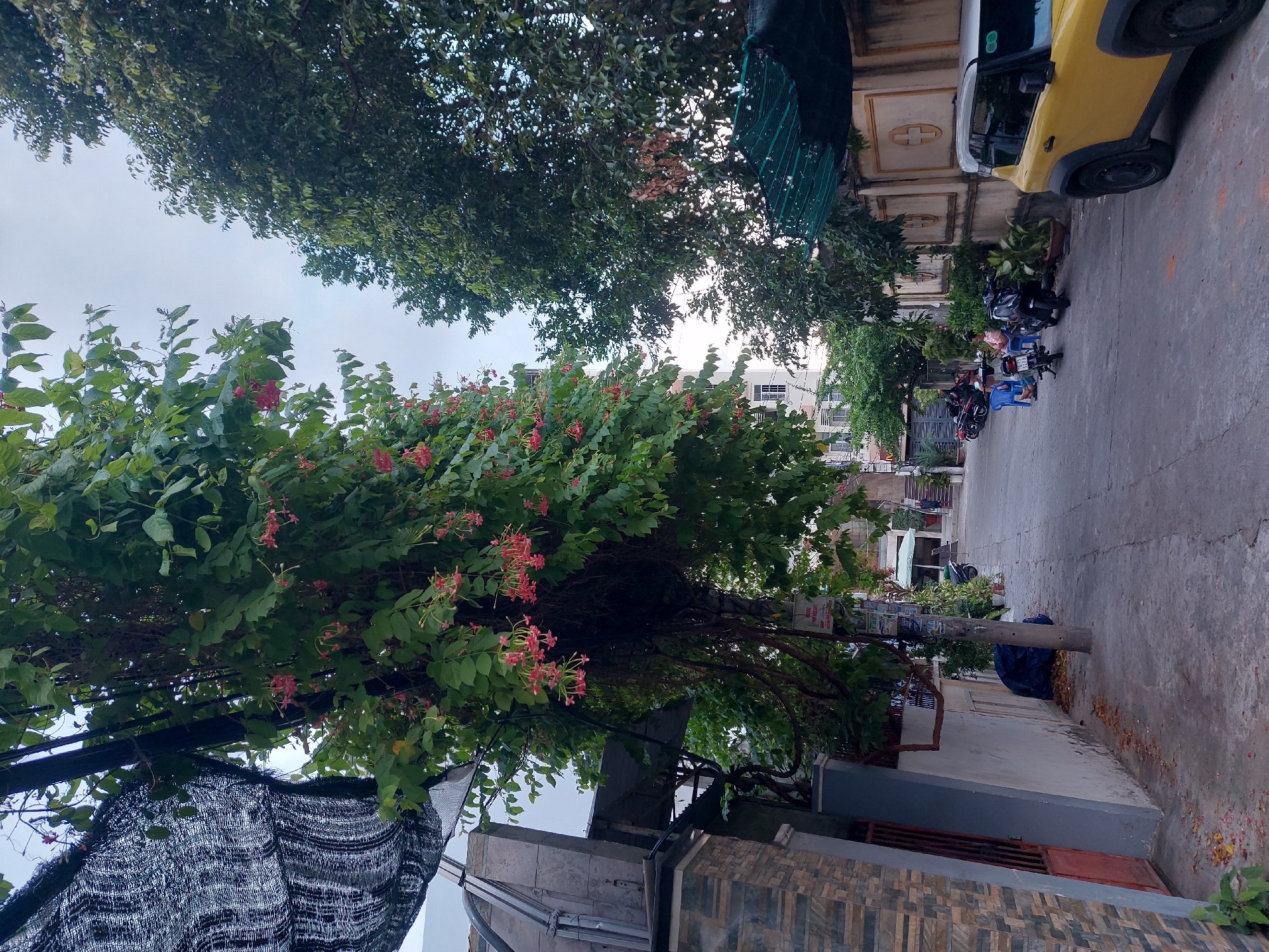 The image depicts a narrow street in Nha Trang Ward, Vietnam. A large tree with clusters of pink flowers dominates the left side of the frame, its branches extending over the sidewalk and street. The tree is supported by a pole with various signs attached to it. On the left, a house with a textured brown and grey facade and a red door is visible. A black tarp or shade cloth hangs from a structure above the sidewalk.
The street itself is paved with concrete and appears to be lined with buildings and more trees. Several motorbikes are parked along the side of the street. In the middle ground, two people are seated at small tables outside what appears to be a shop or cafe. A yellow car is parked on the right side of the street, partially obscuring the view of the buildings on that side. The buildings on the right have decorative yellow accents on their walls. The sky above is overcast.