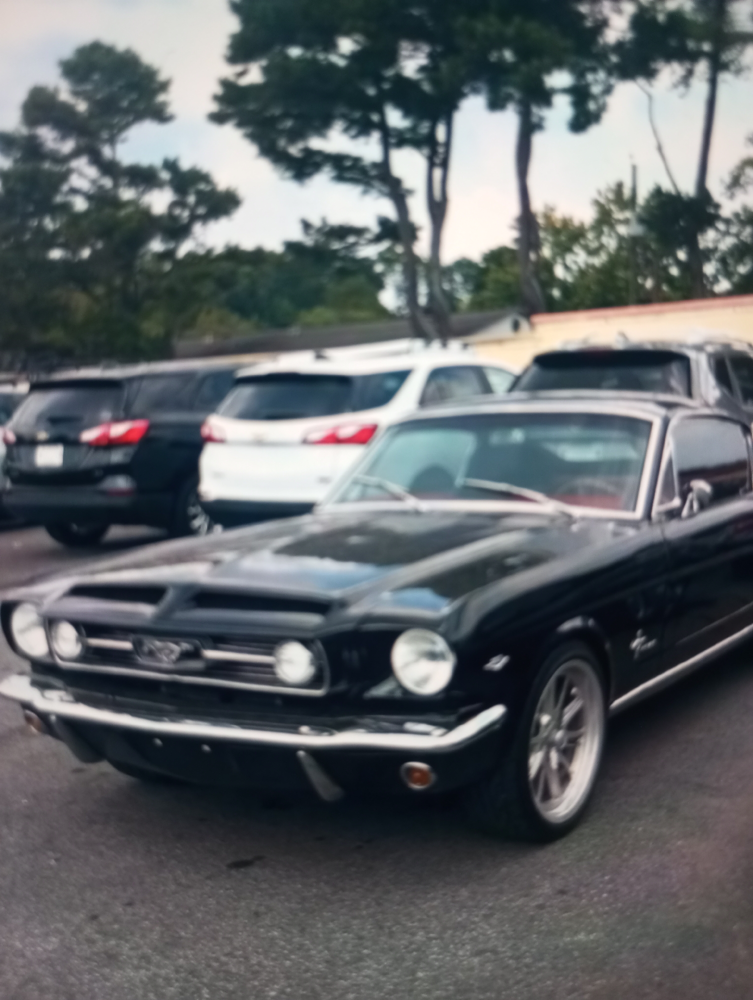 The image shows a black classic Ford Mustang parked in an outdoor lot, possibly a parking lot, with other vehicles and trees in the background. The car is the primary focus and is positioned in the foreground. The Mustang features chrome accents, including the grille, headlights, and trim. Its wheels are visible and appear to be aftermarket. In the background, two SUVs are parked, one black and one white. Trees with green foliage and a cloudy sky complete the scene. The location is not specified within the image itself, and therefore its presence in Zahorna, Moldova cannot be confirmed.