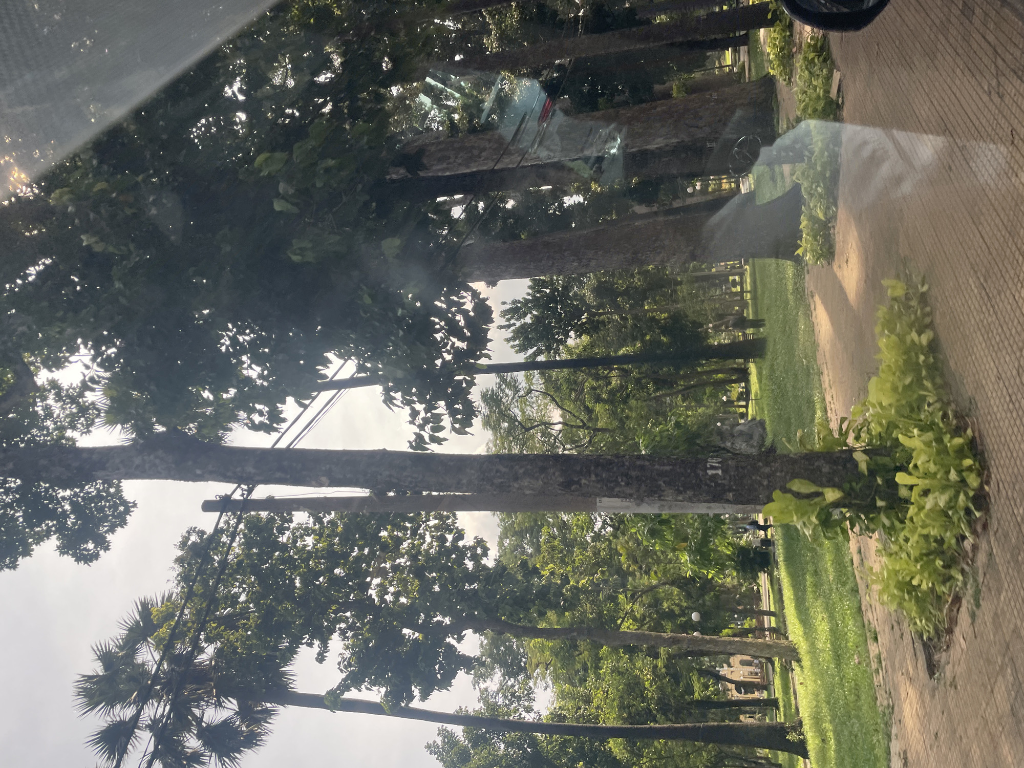 The image depicts a view from a vehicle, looking out at a park-like setting in Thủ Đức, Vietnam. Tall trees with lush green foliage dominate the scene, with some palm trees visible on the left. Sunlight filters through the leaves, creating dappled lighting on the ground. A paved walkway or road runs along the foreground, with a manicured lawn and more trees in the background. There are utility poles and wires present. In the distance, a building with a yellow facade can be seen, and a few people are walking in the park. The overall impression is one of a pleasant, green urban space.