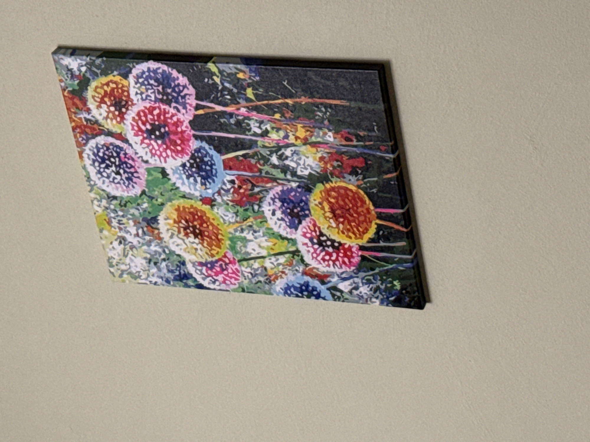 A canvas print featuring a colorful, abstract depiction of dandelions hangs on a textured, light-colored wall. The print is positioned at an angle, with the top right corner closer to the viewer. The dandelions are rendered in a vibrant palette of pink, blue, yellow, and orange, with their centers detailed in dark tones. They are set against a dark background that suggests foliage or a night sky. The stems of the dandelions are thin and appear in various shades of pink, orange, and yellow. The overall style is impressionistic, with visible brushstrokes adding texture to the image. The wall the print is hanging on has a subtle, granular texture.