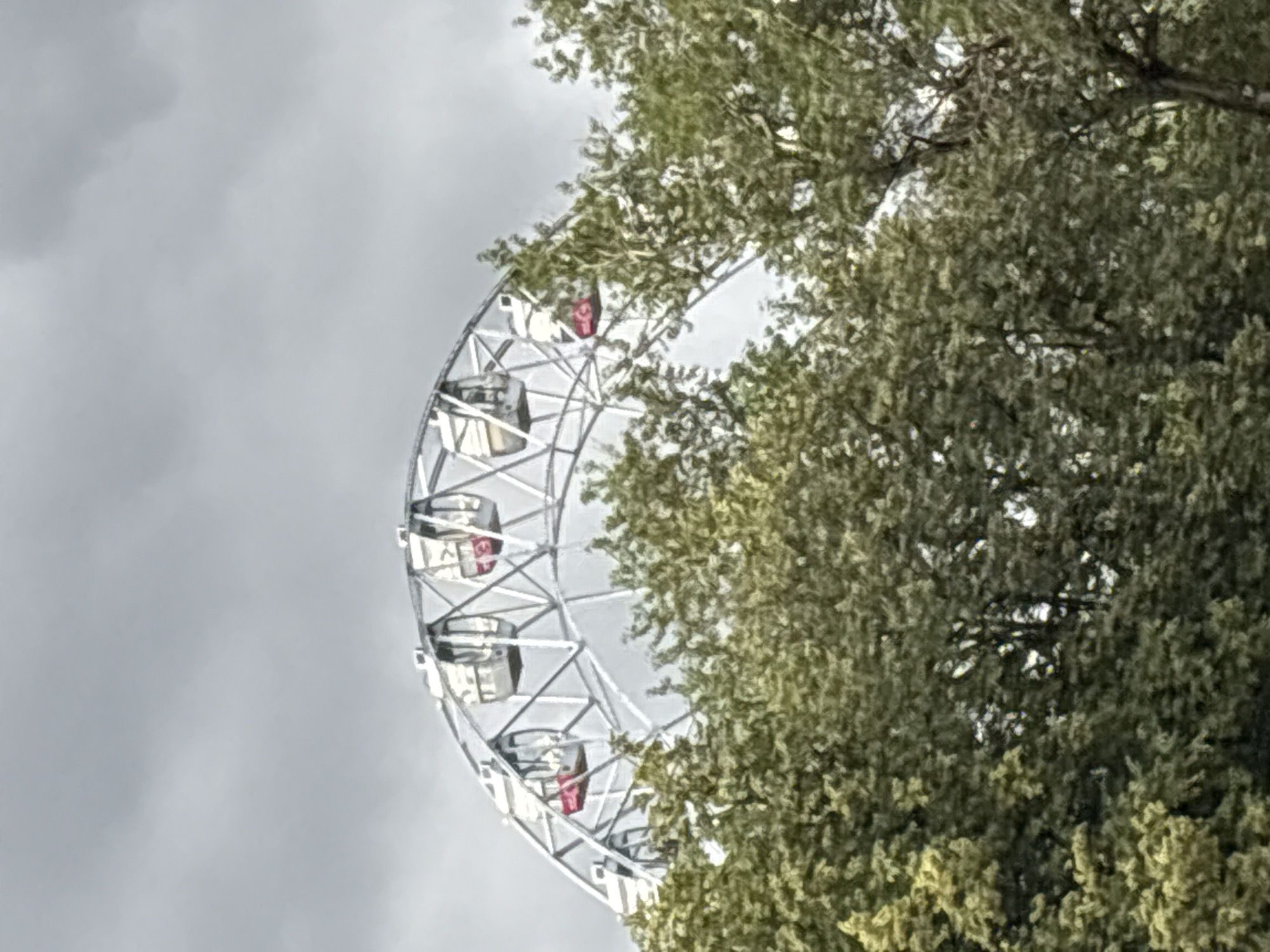 The image shows a portion of a Ferris wheel, with several gondolas visible. The Ferris wheel is white and has a metallic structure. Some of the gondolas are dark, while others appear to have red interiors. The Ferris wheel is partially obscured by the lush green foliage of trees, suggesting an outdoor setting. The sky in the background is overcast and a dull gray, indicating a cloudy day. The perspective is from below, looking up at the Ferris wheel and trees against the sky. The image captures a part of an amusement park or recreational area, possibly on a day with less than ideal weather conditions. There is no visible text in the image.