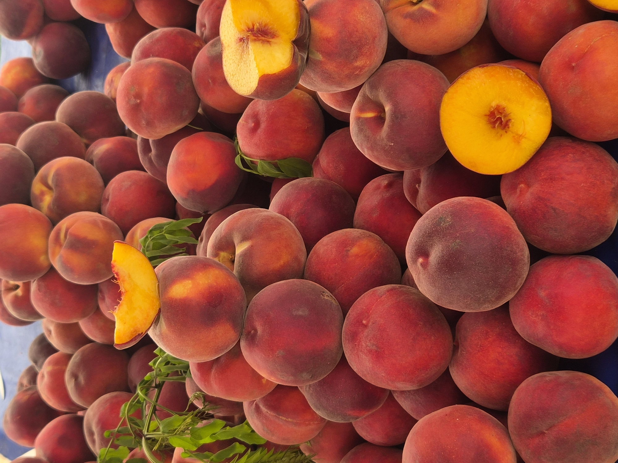 A close-up, top-down shot displays a large pile of ripe peaches at a market, likely in Maltepe, Turkey. The peaches are predominantly red and orange, with a fuzzy skin, and vary in size. Some are whole, while others have been cut in half, revealing their juicy, yellow flesh and a reddish pit. A single peach slice, a vibrant orange, sits atop one of the whole peaches, acting as a visual centerpiece. Green leaves are interspersed among the fruit, suggesting freshness. The background is a blur of more peaches and a blue surface, indicating a vendor's stall. No people are visible in the frame.