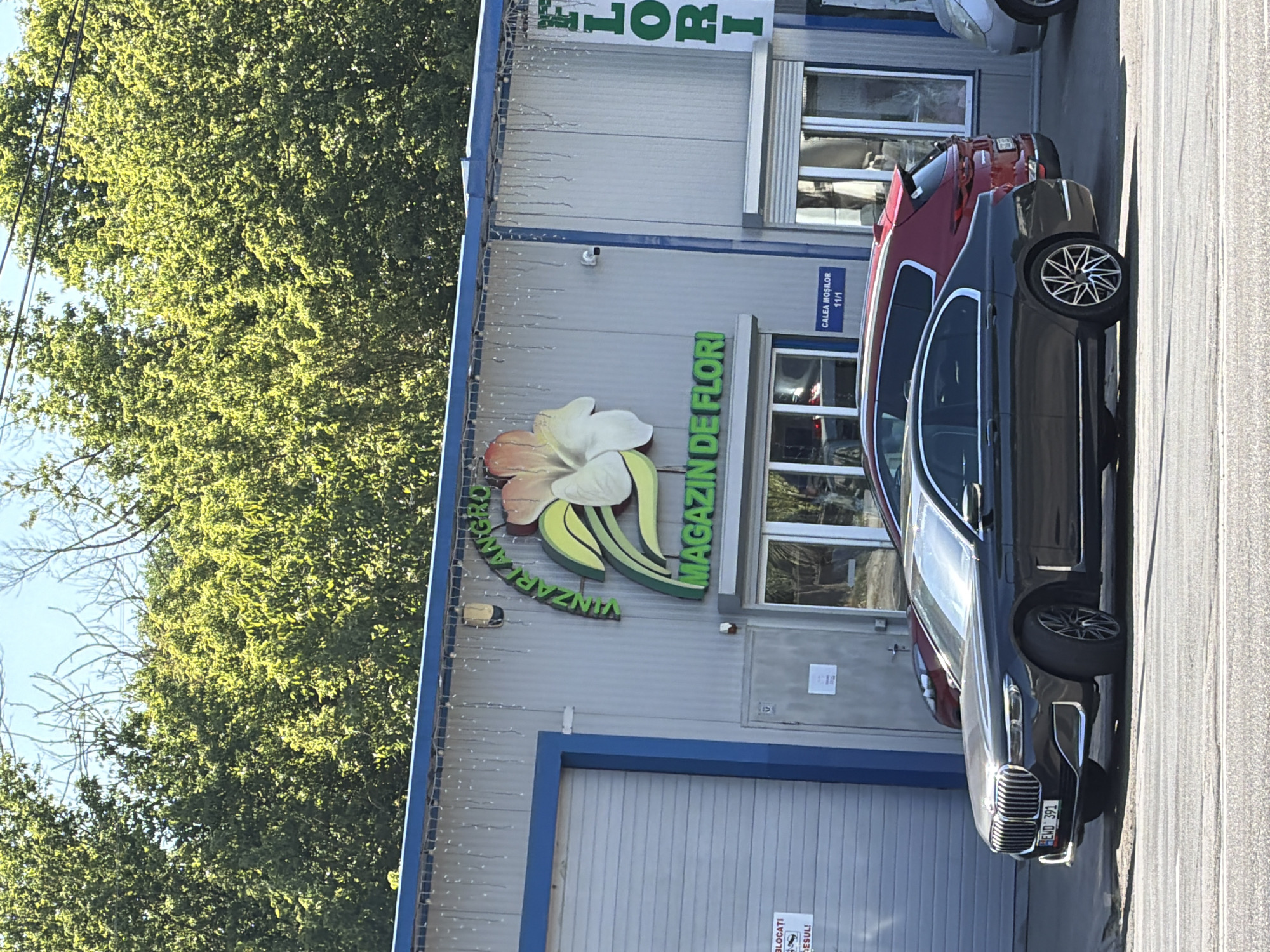 The image shows the exterior of a flower shop named "MAGAZIN DE FLORI". The shop has a corrugated metal facade with blue trim. Above the entrance, there is a large green logo with a stylized flower and text that appears to read "VINZARI FLORI". To the right of the entrance, the word "FLORI" is written vertically in green letters. A dark-colored sedan and a red SUV are parked in front of the shop. A sign on the left side of the building indicates "BLOCATI ACCESUL!". The location is the city of Chișinău, Moldova.