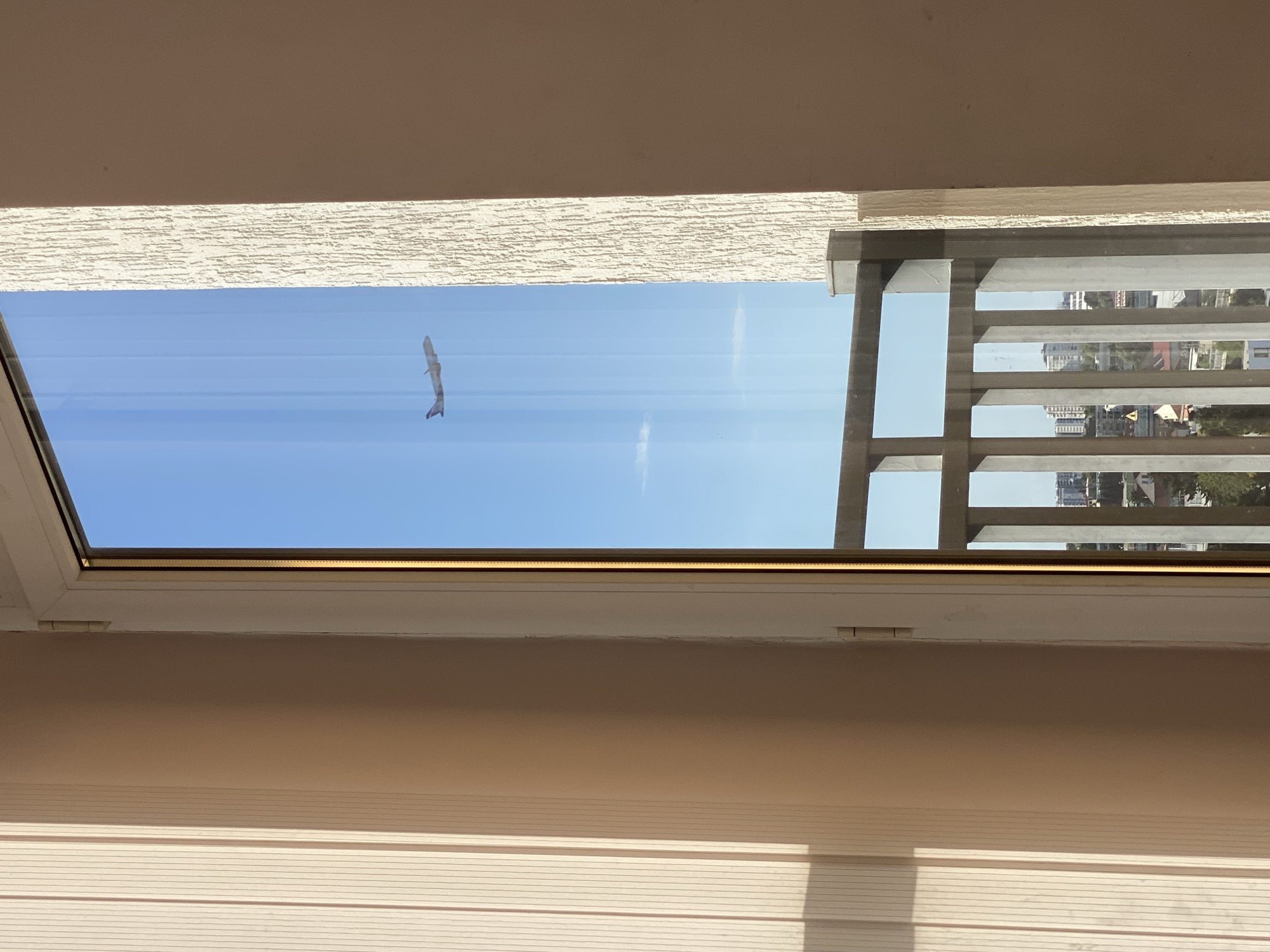 The image shows a view from an apartment window with a balcony railing in the foreground. Through the window, a clear blue sky is visible with a distant airplane flying. Below the balcony, a cityscape with buildings and trees can be seen. The lighting suggests it is daytime, possibly late morning or early afternoon, with sunlight casting shadows on the interior wall to the left of the window. The apartment appears to be in an urban area.