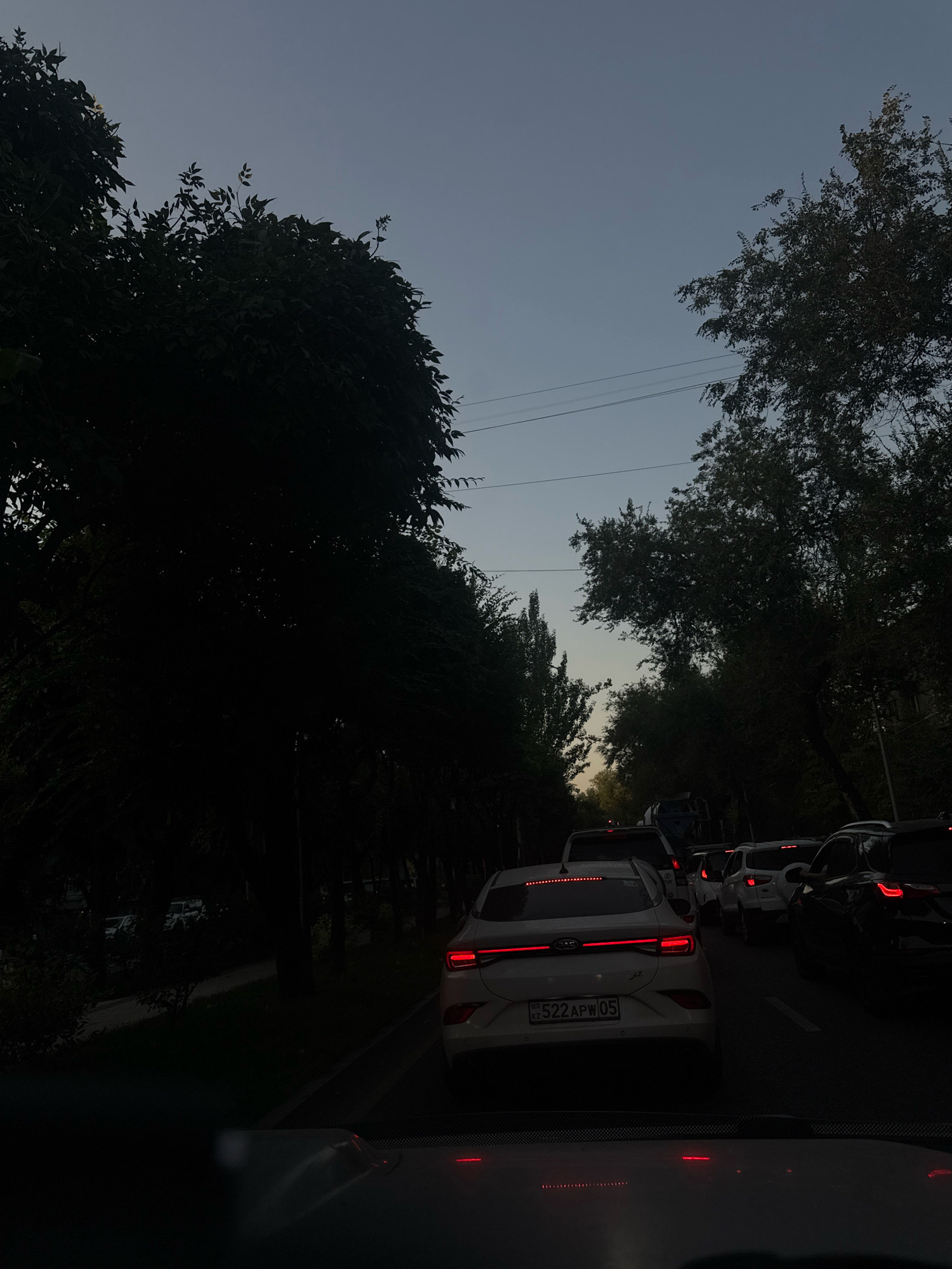 The image captures a twilight scene in Almaty, Kazakhstan, likely during evening rush hour. A line of cars is stopped on a road, with their brake lights illuminated, suggesting a traffic jam. The view is from inside a vehicle, looking out at the road ahead and the surrounding environment. Towering trees with dark foliage line both sides of the road, casting shadows and creating a somewhat enclosed atmosphere. The sky above is a gradient of pale blue and grey, indicative of dusk. The overall impression is one of urban congestion and the fading light of day.