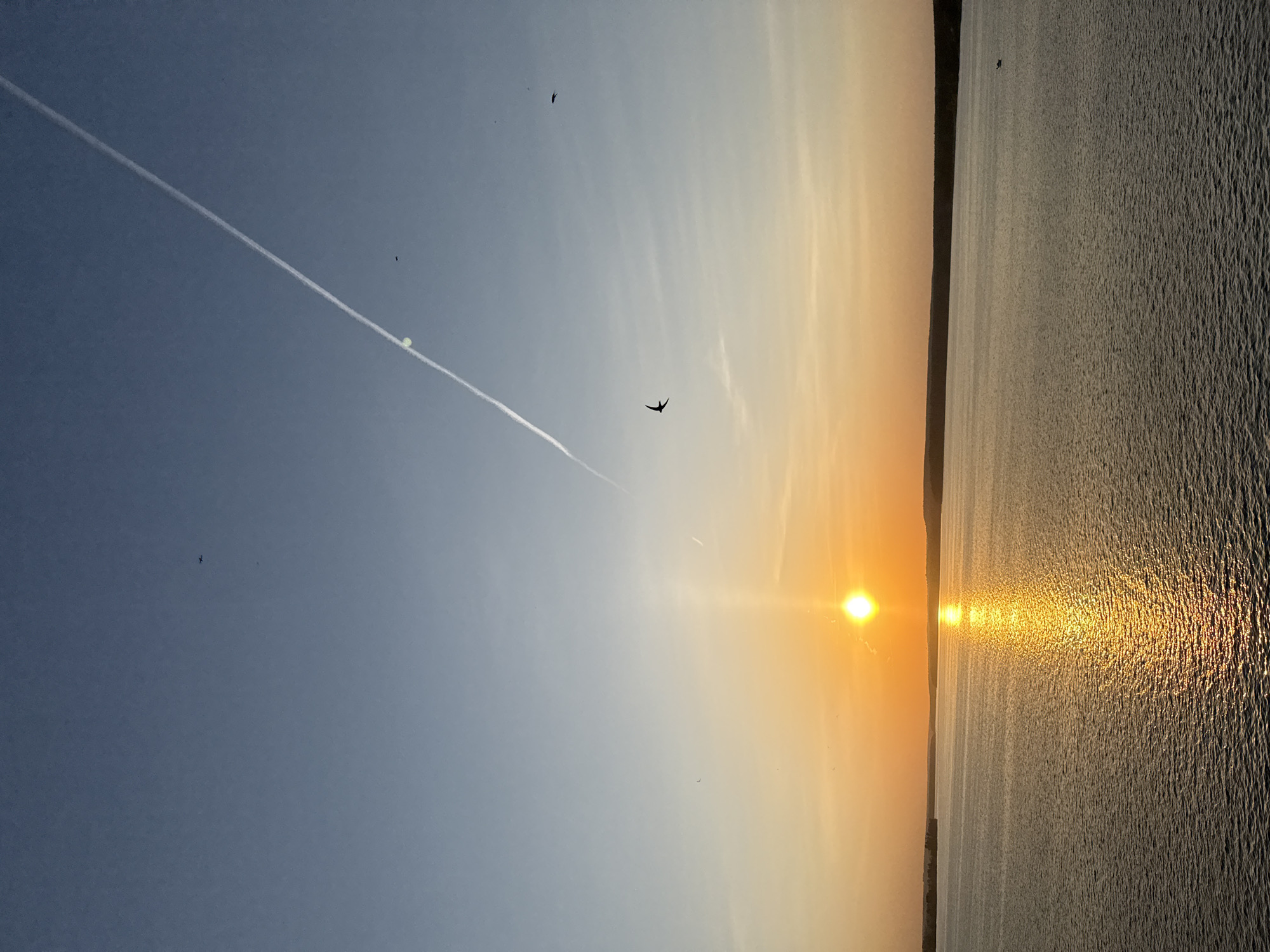 The image depicts a serene landscape at sunset, likely over a body of water, possibly the Votkinsk Reservoir near Votkinsk, Russia. The setting sun casts a bright glow with light reflecting on the water's surface. A contrail stretches diagonally across the sky from the upper left, while a few birds are scattered in the scene. The horizon shows a line of trees and low land. The image is rotated 90 degrees counterclockwise.