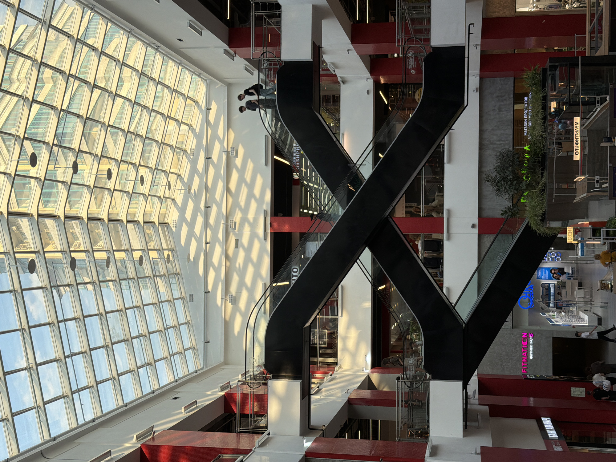 This is an interior, low-angle, wide shot of the central atrium of the Megapolis Shopping Center (ТРЦ Мегаполис) located in Khimki, Moscow Oblast, Russia. The scene is dominated by a clear grid-patterned glass skylight that covers the entire ceiling, allowing natural light to illuminate the space. Through the skylight, a clear blue sky with some scattered clouds is visible, along with reflections of a multi-tiered building exterior, likely part of the same complex. Several circular, disc-shaped pendant lights hang from the skylight structure. Strong sunlight casts distinct, angular grid shadows on the upper white walls and floors. Two prominent black escalators intersect in the center of the atrium, forming a large 'X' shape. The upper escalator descends from the viewer's top-left to middle-right. Two young males are seen riding this escalator, both descending. One wears a dark t-shirt and light-colored pants, the other a black t-shirt, dark pants, and a backpack. The lower escalator ascends from the viewer's bottom-left to middle-right. A lone female, dressed in a patterned garment, is visible on this escalator, ascending from a lower level. Both escalators feature clear glass side panels and black handrails. The mall's structure consists of multiple levels connected by these escalators and surrounding walkways. Exposed pillars painted a vibrant red contrast with the predominantly white walls and structural beams. Various storefronts line the different levels. On the left side of the middle level, a "БАНК АВАНГАРД" (BANK AVANGARD) sign is visible, below which is a "FITNATION ФИТНЕС 24/7" (FITNATION FITNESS 24/7) sign in bright pink-purple text on a dark background, indicating a fitness center. Across the atrium, on a similar level, an optical store with a blue logo and partially visible Cyrillic text, likely "ОПТИКА" (OPTICS), is present. Another sign "ЛАБИРИНТ" (LABYRINTH) is visible on an upper-level storefront to the right. The ground floor features a spacious area where several individuals are present. A rectangular planter box filled with greenery and small trees acts as a partial divider. On the far right of the ground level, a sign reads "МАГАЗИН ПРОДУКТОВ ДЛЯ ЗДОРОВОГО ПИТАНИЯ" (GROCERY STORE FOR HEALTHY EATING), and further right, "ОТОПЛЕНИЕ" (HEATING) is visible. On the ground floor, three people walk from left to right near "Bank Avangard" (two males, one female carrying a white bag), one male in a white t-shirt and dark pants walks right to left, and another individual in a yellow top stands near the