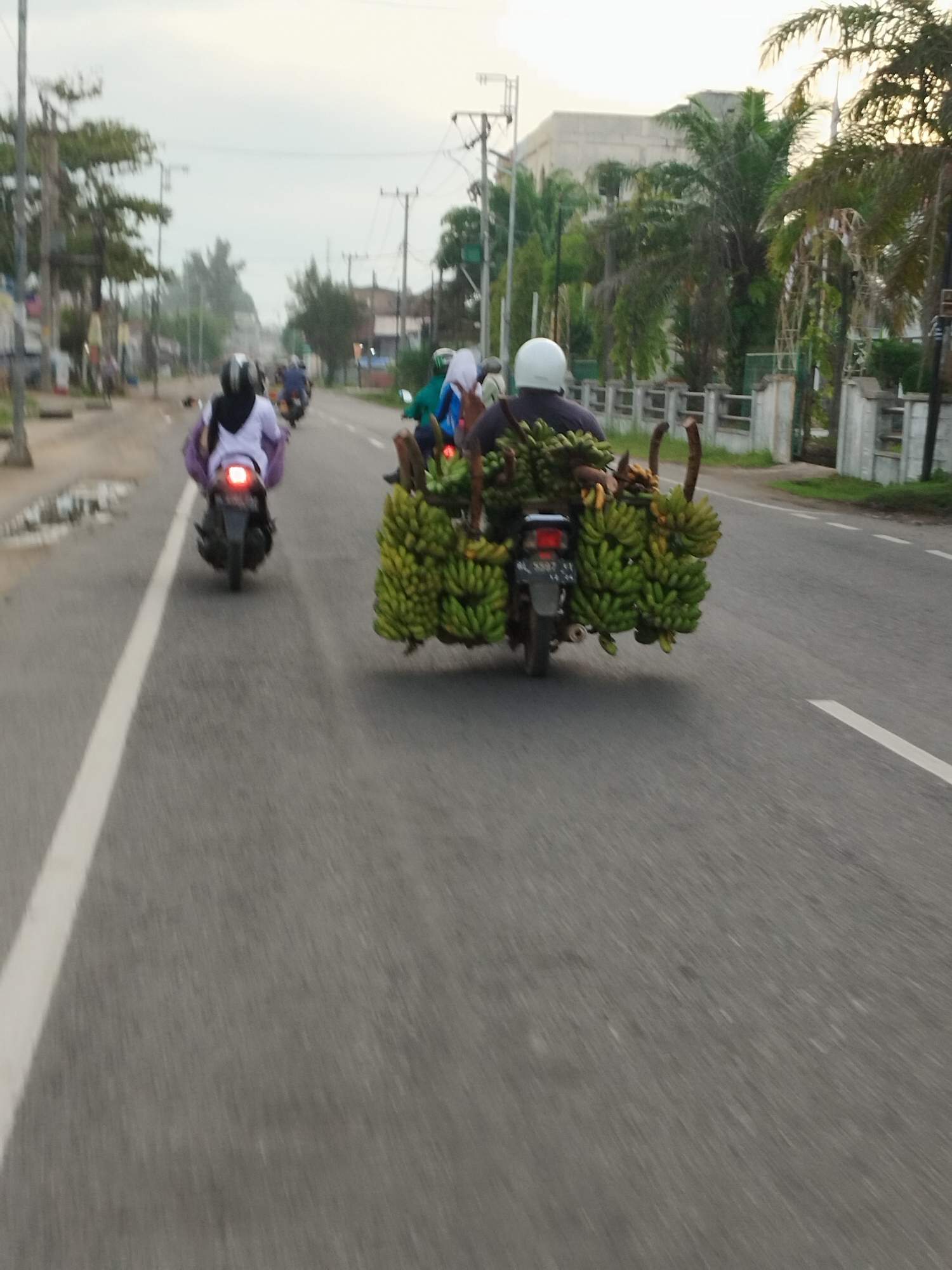 The image depicts a street scene in Lhokseumawe, Indonesia, likely during the late afternoon or early morning due to the soft lighting. The focus is on a motorbike carrying a large load of bananas, with a person wearing a white helmet and dark clothing riding it. The bananas are green and abundant, attached to the back of the motorcycle in several large bunches, obscuring the rear of the bike. To the left, another motorcycle is visible with a rider wearing a purple top and a headscarf, also moving away from the camera. Further in the distance, other individuals on motorbikes and a person in a light blue outfit are also present, suggesting traffic on the road. The environment includes a paved road with a white dividing line, trees lining the side of the road, and some buildings and power lines in the background. The overall impression is one of everyday commerce or transport in a semi-urban setting.