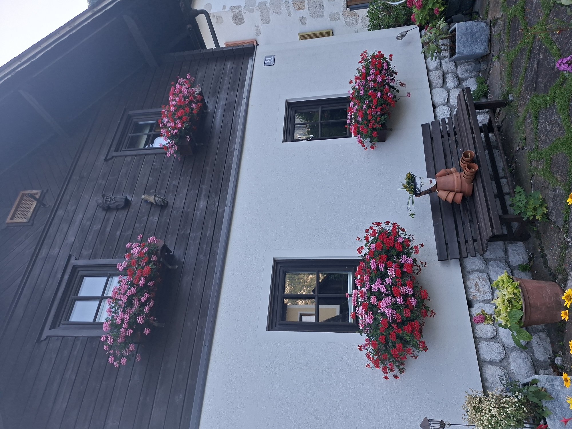 The image depicts a charming exterior scene of a two-story building in Hallstatt, Austria. The upper story of the building is clad in dark wooden planks, featuring two windows, each adorned with a vibrant window box overflowing with red and pink geraniums. A decorative wooden carving of a face is mounted on the wooden wall between the two upper windows. The lower story of the building is finished with white stucco, also featuring two windows, each with a similar window box filled with the same colorful geraniums. Below the lower windows, a dark wooden bench is placed in front of the wall. Sitting on the bench is a creative garden decoration made from terracotta pots, resembling a person with a potted plant for a head. Several potted plants, including one with yellow and green foliage in a terracotta pot and another with white flowers in a concrete planter, are situated on the ground in front of the bench and the house. A cobblestone path runs in front of the house. The overall impression is one of a well-maintained, picturesque dwelling in a European town.
