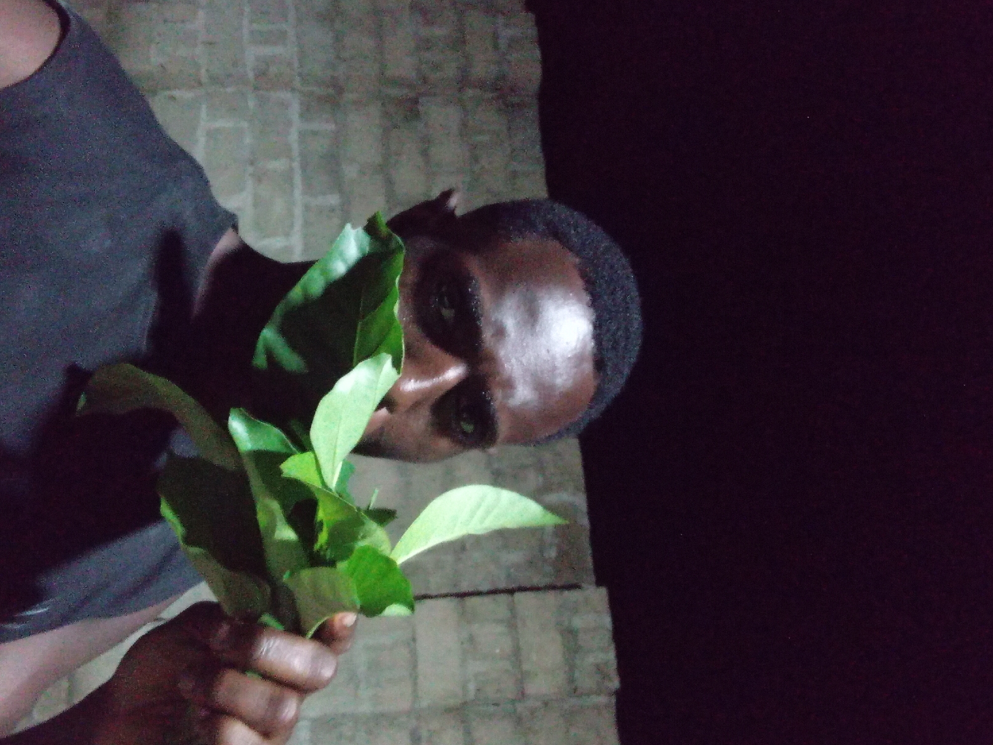 A man with dark skin and short hair is holding a bunch of green leaves. He is wearing a black t-shirt. The background appears to be a dark outdoor space, possibly in Akwete, Nigeria, although the specific location is indistinguishable from the image. There is a partial view of a light-colored brick or stone wall behind him.