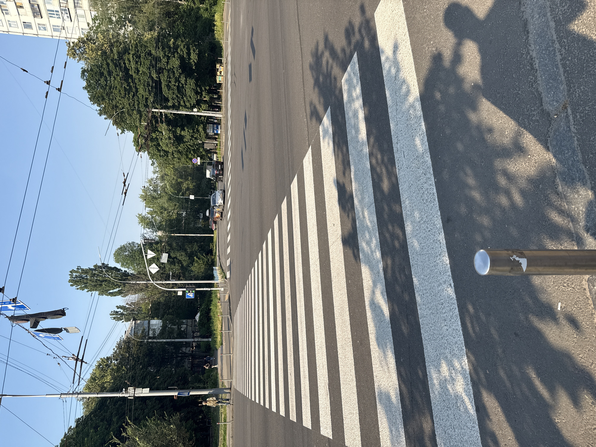 This is an outdoor, eye-level, medium shot of a pedestrian crossing on a city street in Kyiv, Ukraine. The sky is clear and blue. The pedestrian crossing is wide and has white stripes on an asphalt road. The foreground is dominated by the crossing and the shadows of trees and people. On the left side of the crossing, there are two pedestrians, one man and one woman, standing on the sidewalk. Behind them, there are buildings and trees. On the right side of the crossing, there are more trees and a large building in the background. The road appears to be at an intersection, with traffic lights and overhead wires visible. The overall impression is of a bright, sunny day in an urban environment.