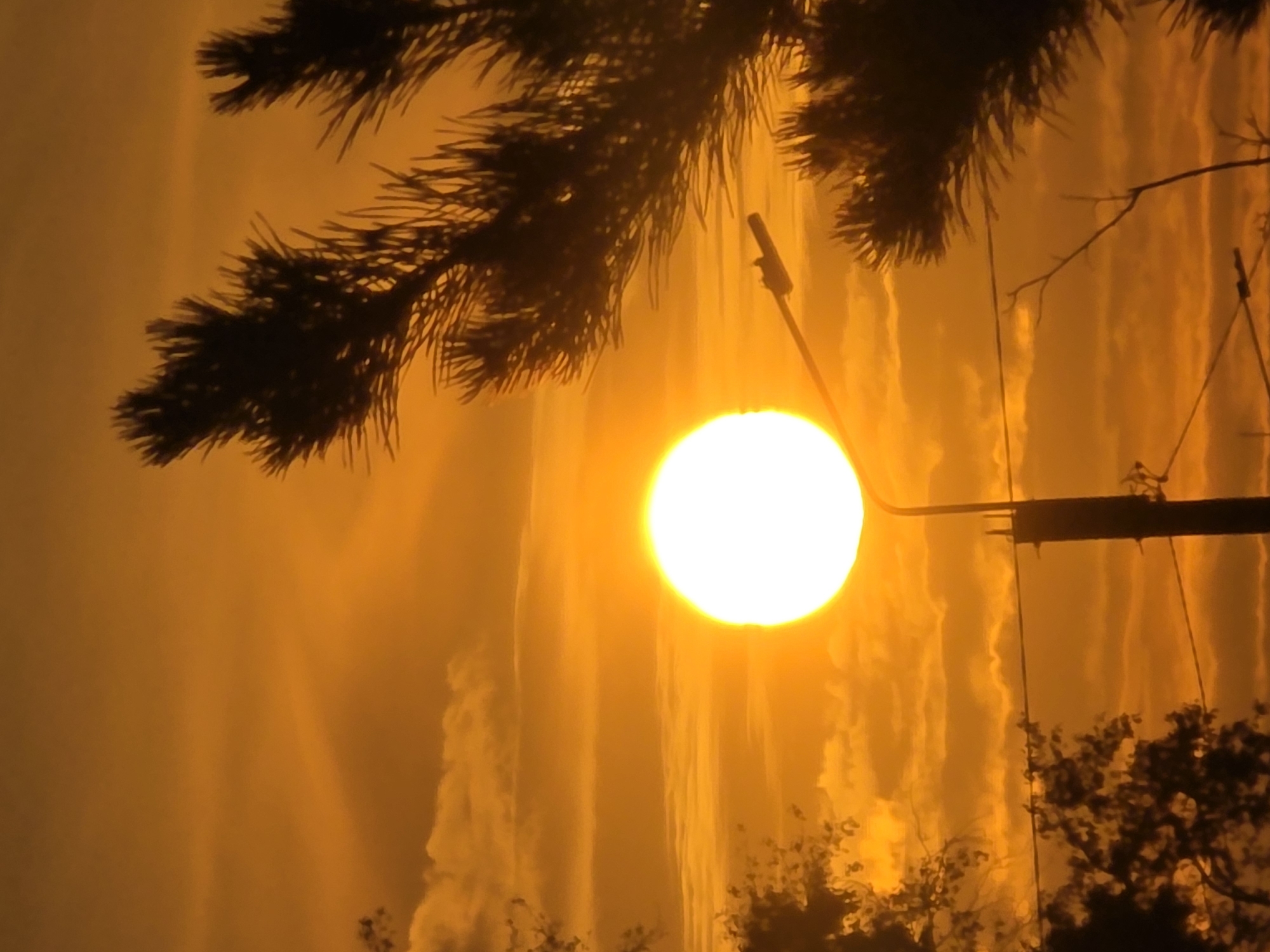 The image captures a vibrant sunset over the city of Chaikovsky, Russia. The sun, a brilliant white orb, is prominently positioned in the center of the frame, radiating a warm orange glow across the sky. Wispy clouds are scattered throughout, adding texture to the fiery backdrop. In the foreground, silhouetted against the sunset, are the branches of a pine tree on the right and trees on the left, framing the scene. A street lamp with its light fixture is visible in the lower right quadrant, its dark silhouette contrasting with the bright sky. Additionally, thin wires, possibly from utility poles, crisscross the lower portion of the image. The overall impression is one of a serene and picturesque natural phenomenon.