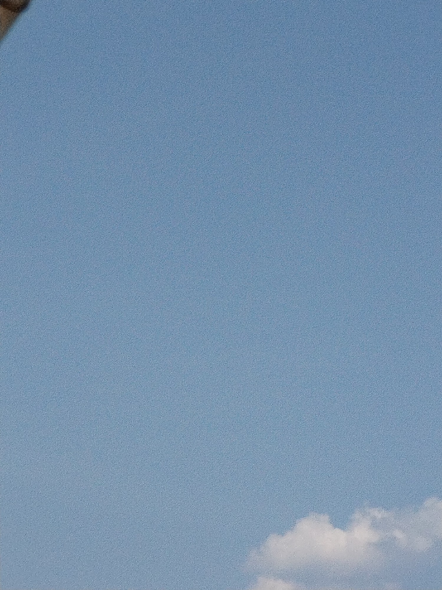 The image shows a daytime sky, predominantly light blue with a grainy texture. A small white cloud is visible in the lower right corner. The location is Bac Nha Trang Ward, Vietnam, although no specific landmarks or other geographic indicators are present in the image to confirm the location. No people, subjects, objects, actions, or interactions are depicted beyond the sky and cloud.