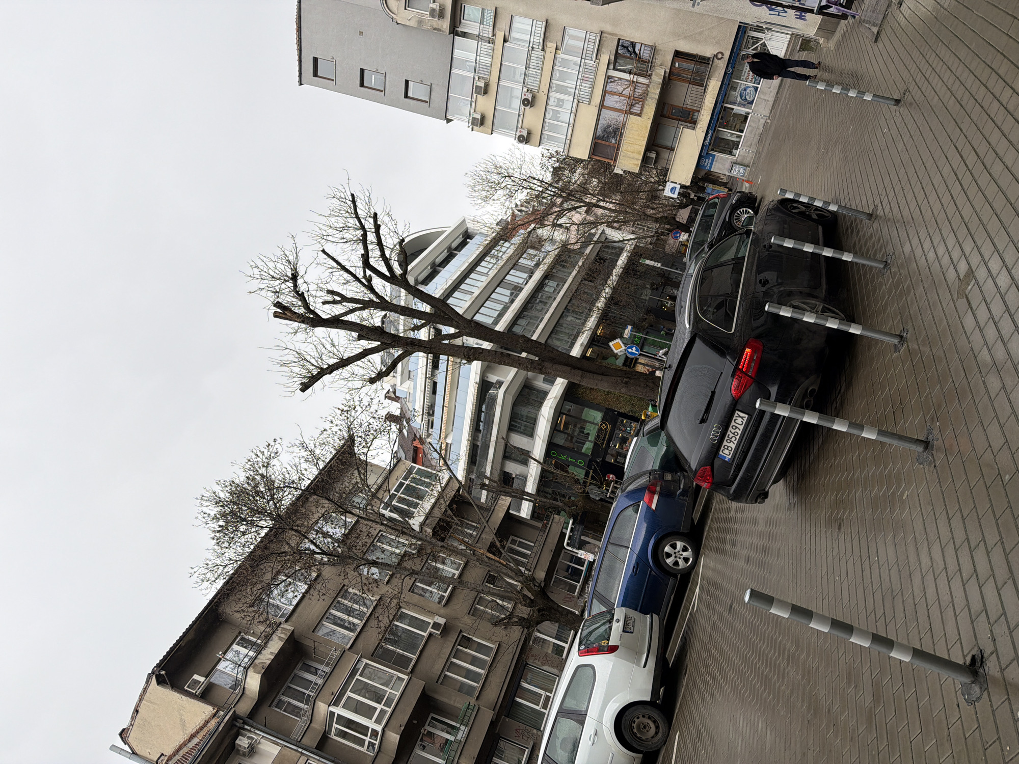 The image shows a street scene in Sofia, Bulgaria, with several parked cars, buildings, trees, and street furniture. The cars, from back to front, are black, blue, and white, with license plates visible on the black car. The buildings are multi-story, with a mix of architectural styles. The trees are bare, suggesting it's a late autumn or winter season. The street is paved with red brick and there are vertical gray and white striped posts installed in the road next to the parked cars. A person is walking in the background, on the sidewalk. The weather appears overcast and wet.
