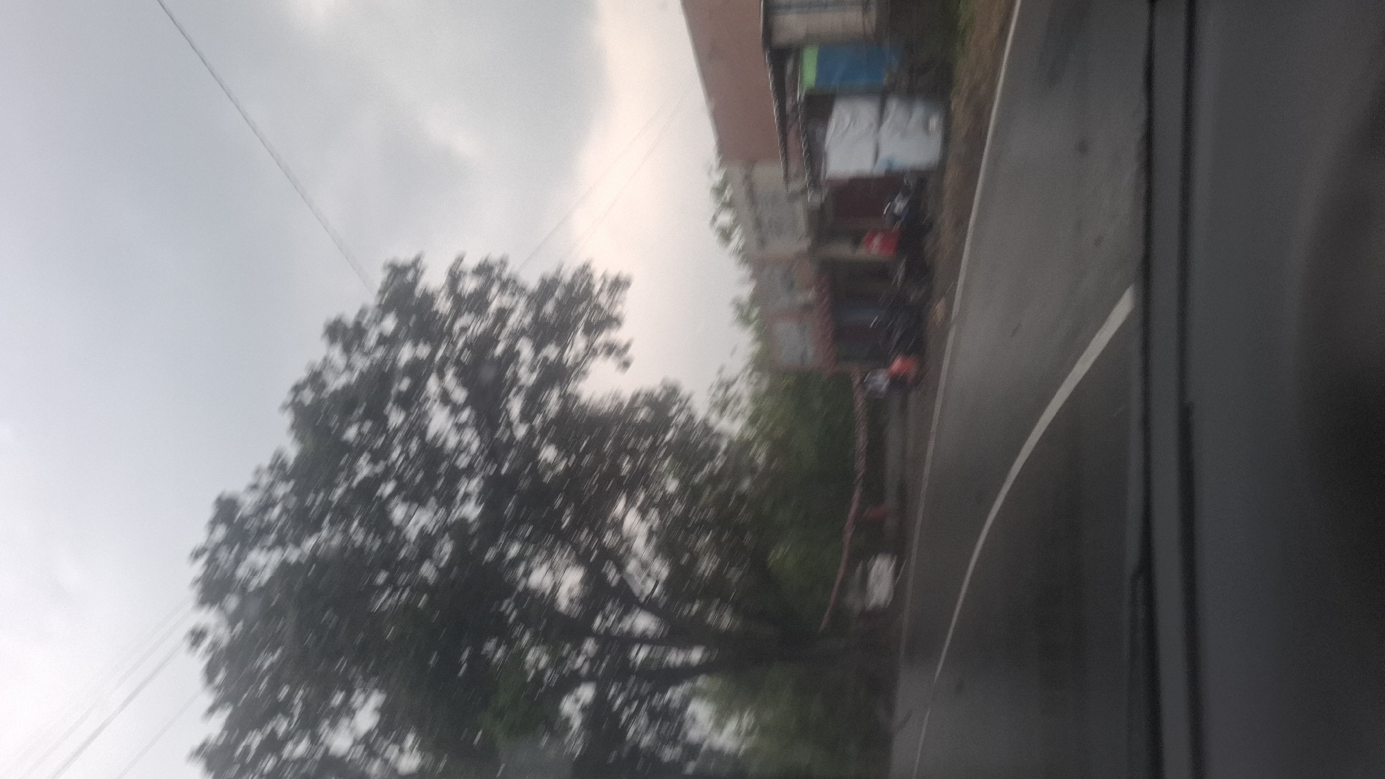 The image depicts a road scene on a cloudy day, likely in the city of Cilaku, Indonesia. A large, leafy tree is on the left side of the road, with its branches extending over the pavement. Several small buildings or stalls are visible on the right side of the road, some with corrugated metal roofs. There are a few motorcycles parked in front of these establishments, and at least two people are visible, one appearing to be standing near a red motorcycle and another near a blue and white structure. The road itself is wet, suggesting recent rain, and has a white line marking its edge. Power lines are visible in the upper part of the image, stretching across the sky. The overall impression is of a somewhat damp, overcast day in a developing or rural area.