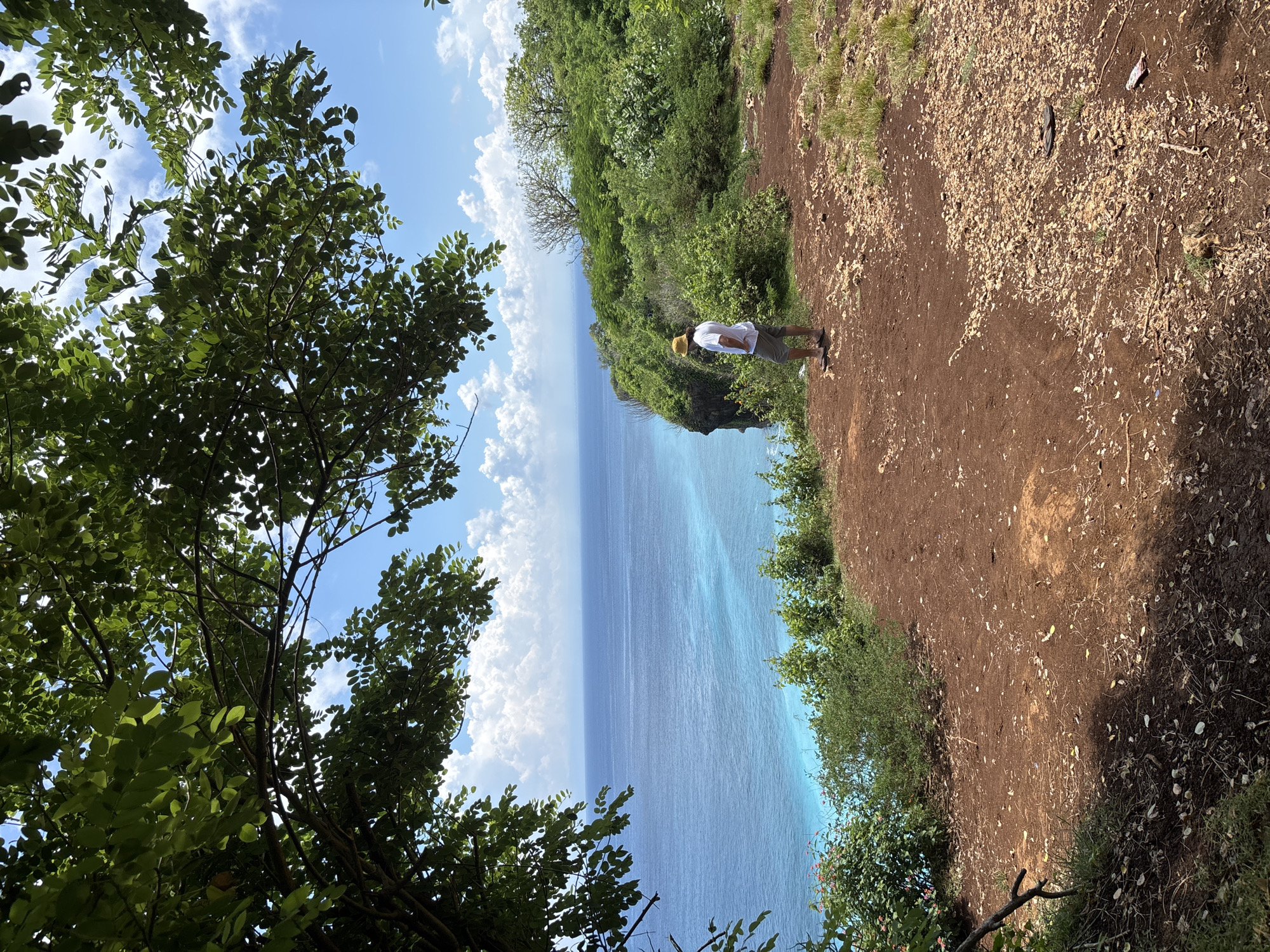 A man stands on a cliff overlooking a turquoise sea. The man is wearing a white shirt, khaki shorts, and a yellow hat. He is positioned near the edge of the cliff. The cliff is covered in brown dirt and sparse vegetation. To the left, the scene is framed by a large tree with green leaves, partially obscuring the blue sky with scattered clouds. The location is Uluwatu, Indonesia.