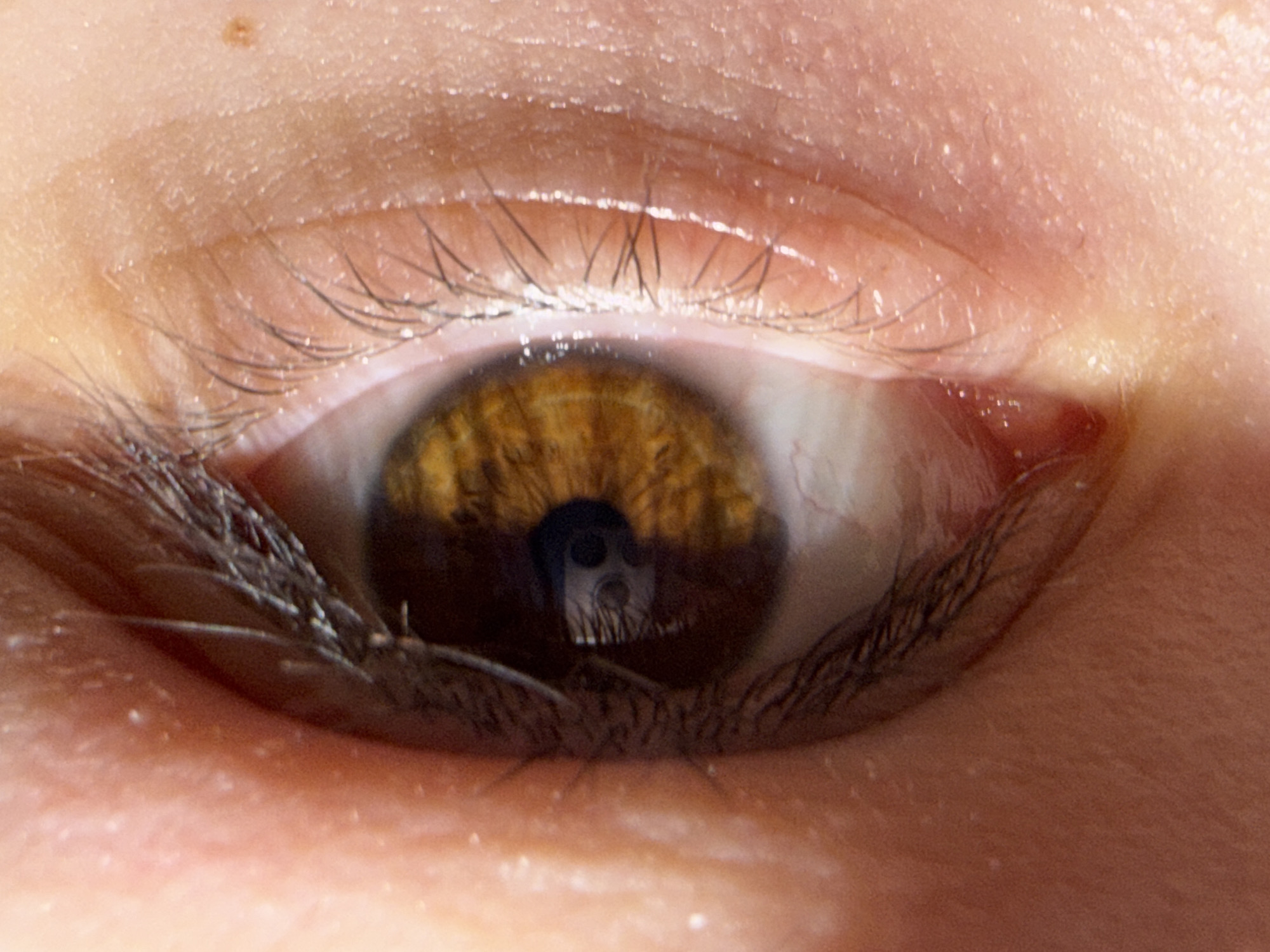 The image is a close-up of a human eye with a light brown iris and dark eyelashes. The skin surrounding the eye is light in color, showing texture and minor imperfections. There is a reflection of what appears to be a camera or other device in the pupil. There are no indications of this image being taken in Dobrich, Bulgaria.