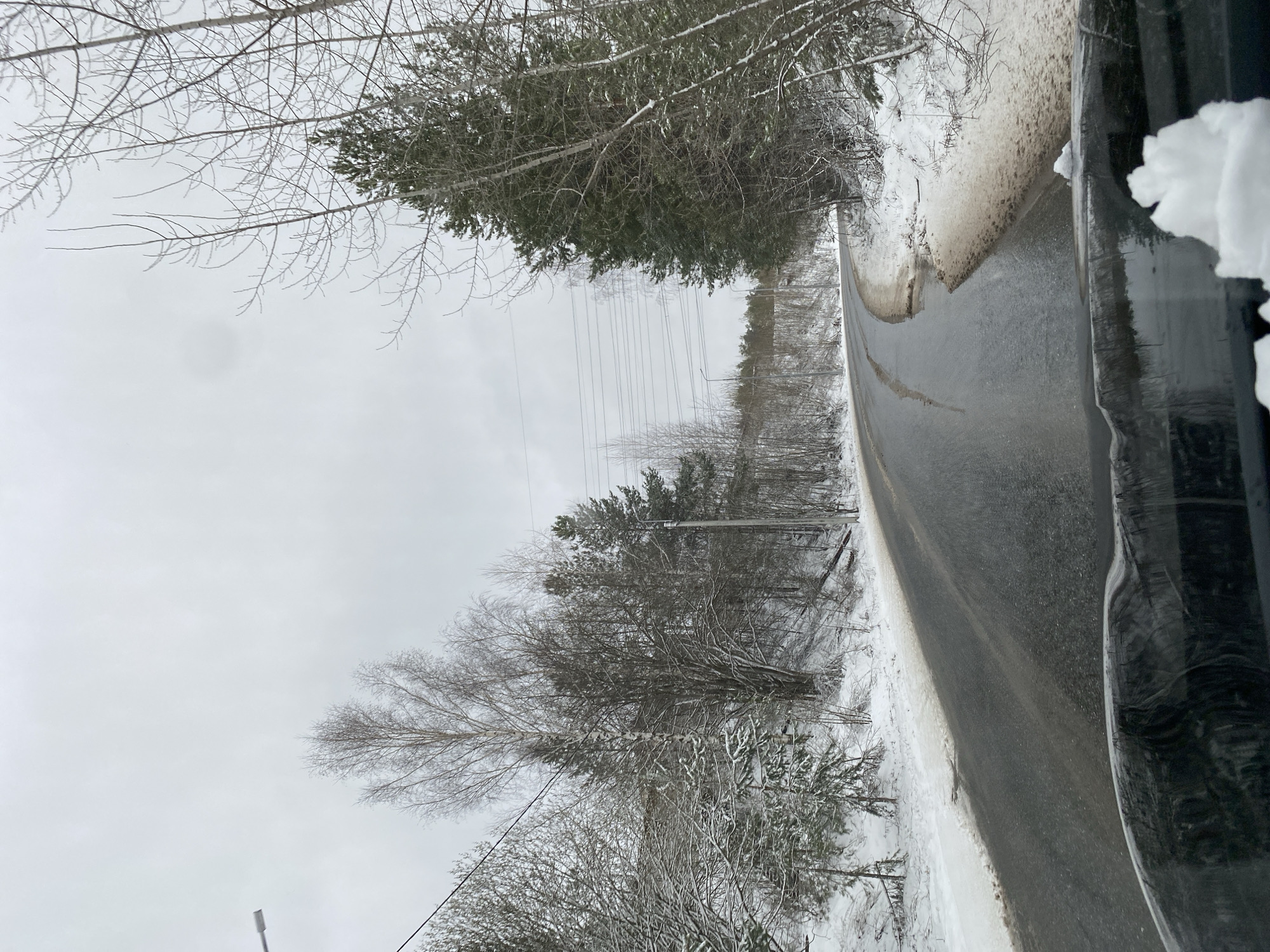 The image shows a paved road curving to the right. Snow lines both sides of the road. Trees, some bare and some evergreen, border the road. Power lines are visible above the trees. Part of a dark vehicle is visible on the right edge of the image. The sky is overcast. It appears to be a winter scene in a wooded area. There is no indication of the specific location in the city of Chaikovsky, Russia.