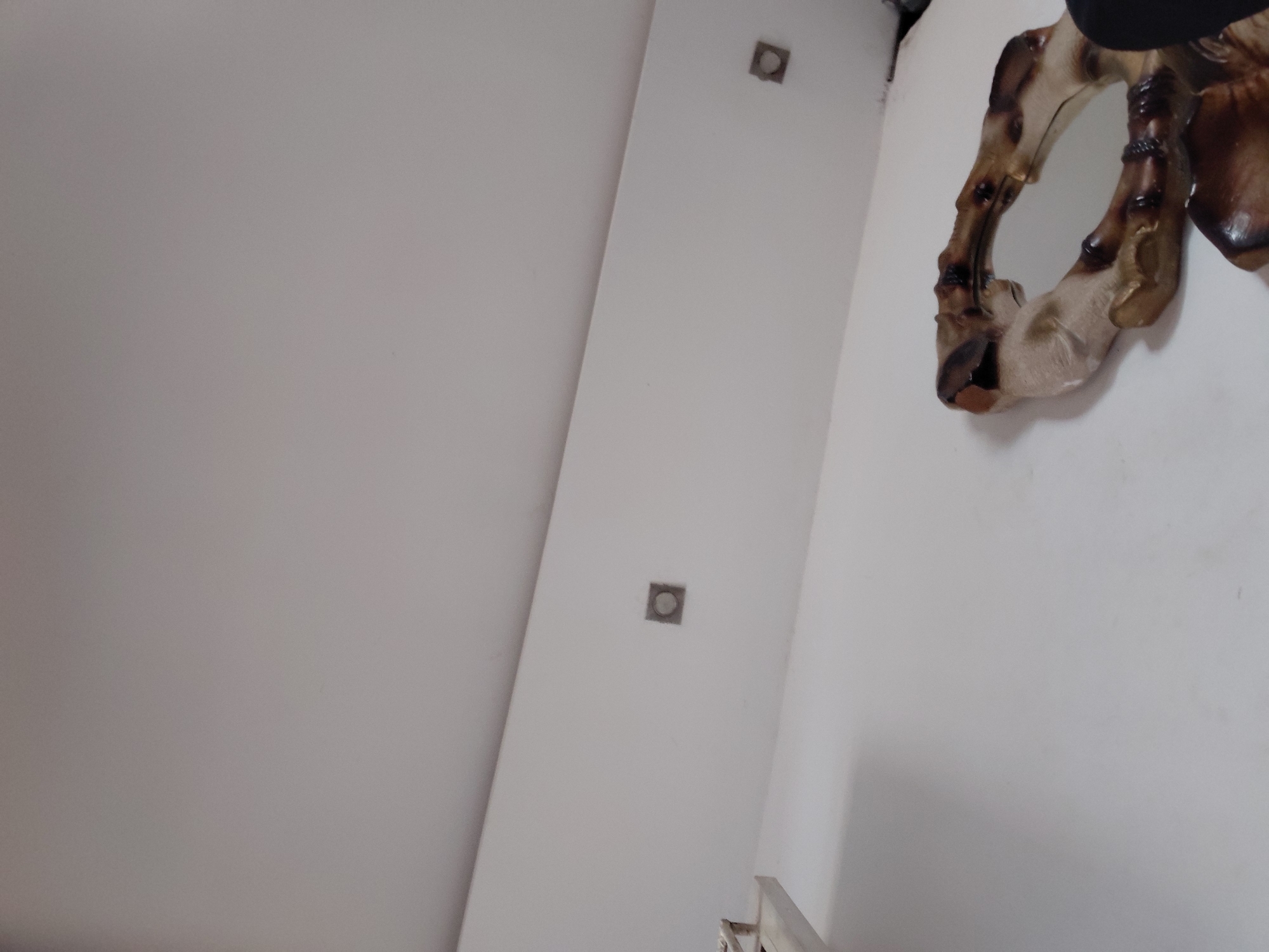 The image captures an indoor, architectural scene with a decorative object, viewed from a low, tilted angle. The primary subject is a plain, light-colored wall, likely white or off-white, occupying the majority of the left and central frame. A vertical, narrow white partition or pillar extends diagonally from the top towards the bottom right, separating the main wall from another lighter surface on the far right. Embedded within this vertical partition are two square-shaped fixtures, possibly recessed light units or electrical outlets, each featuring a dark circular center.
In the upper right quadrant, mounted on a white wall, is a three-dimensional decorative object. It appears to be a sculpture or replica of an animal's limb, specifically resembling a section of a horse or camel leg. The object is crafted from a material that mimics natural bone or tanned hide, exhibiting light beige and brown tones with darker brown accents and a somewhat glossy finish. It shows anatomical details like joints and what could be part of a hoof, presented in a curved form.
The lighting in the image is even and diffused, indicative of an indoor environment, likely illuminated by artificial light. There are no people visible, and no specific activity is taking place. No discernible text is present in the frame. The overall scene is static, focusing on architectural details and a singular decorative item. The location context for this image is Santa Ana, Venezuela.