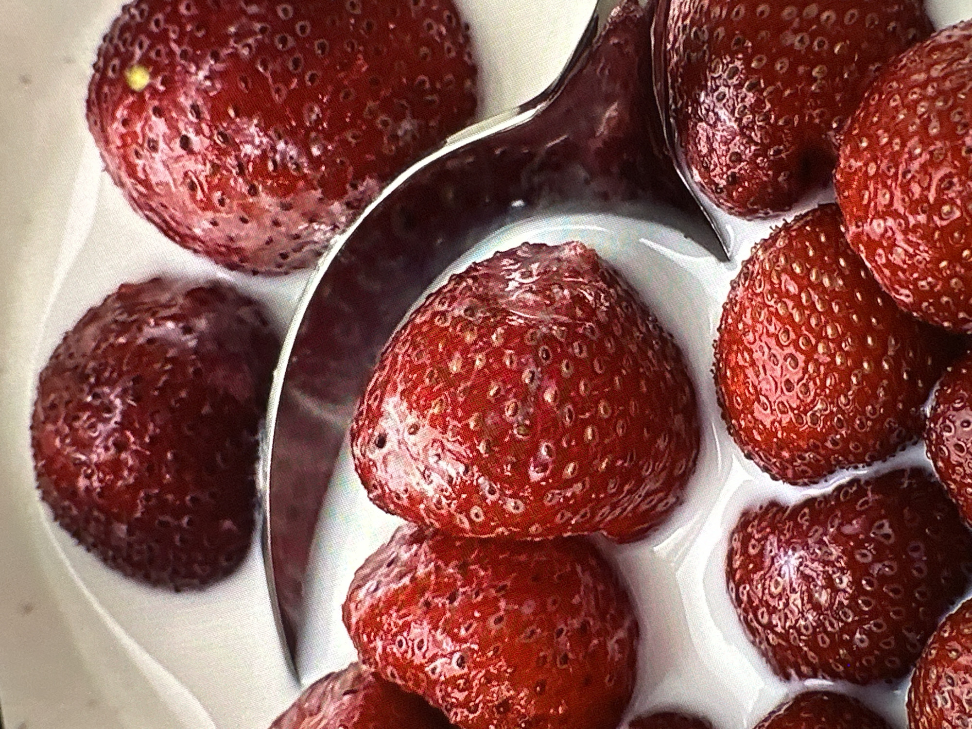 The image shows several ripe strawberries in a white liquid, possibly milk or cream. A silver spoon rests among the strawberries. The berries are a deep red color with small seeds visible on their surface. The location is not discernible from the image.