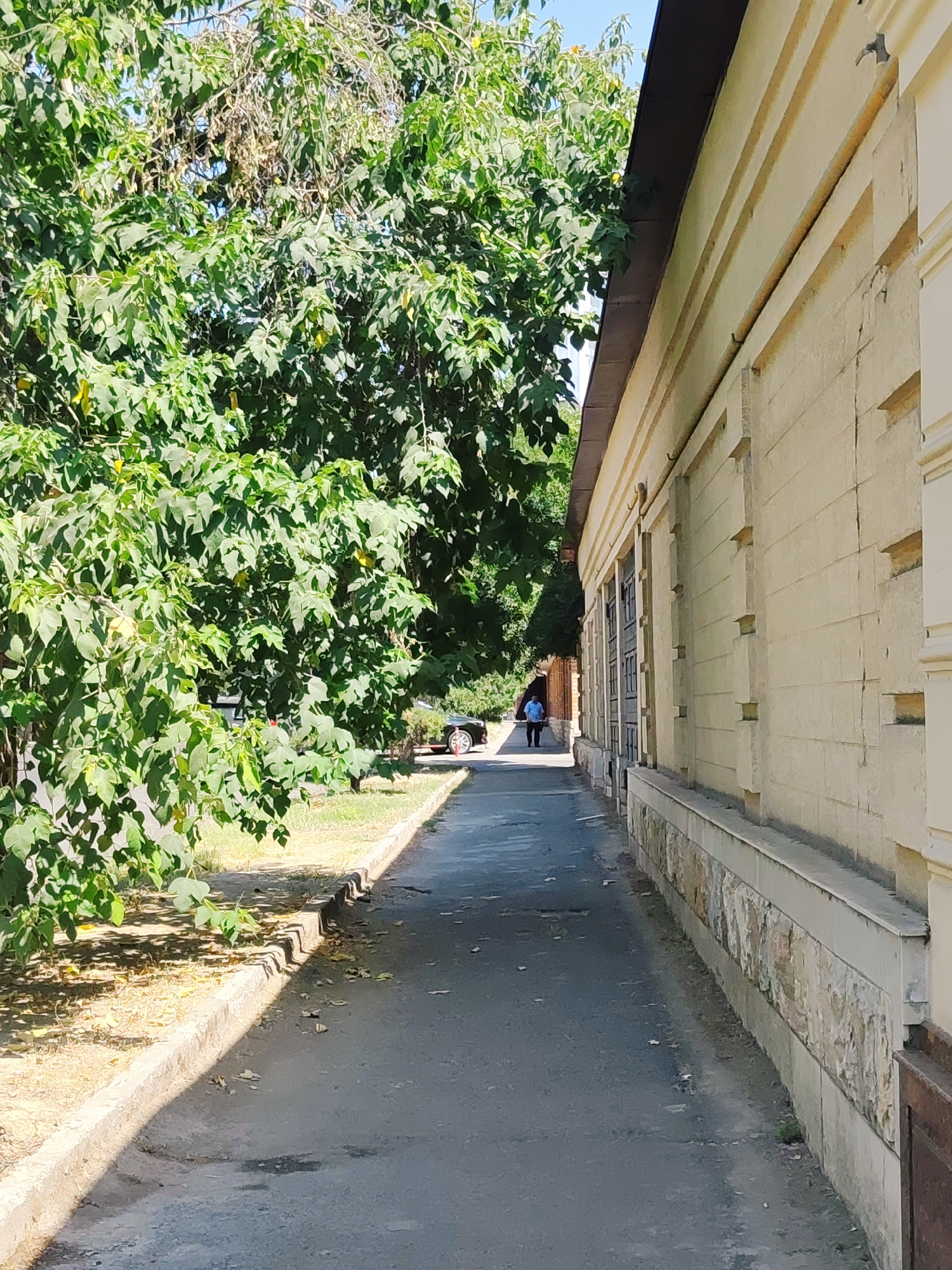A person walks down a paved walkway alongside a light-colored, textured building. The walkway is bordered by a curb and a strip of dry grass and fallen leaves on the left. Lush green trees with dense foliage overhang the walkway and the grassy area, casting shadows. The building appears to be a single-story structure with a dark-colored roof and windows with dark frames visible along its facade. The building's exterior wall is segmented by horizontal lines and has decorative stone panels at the bottom. The person, wearing a blue shirt and dark pants, is walking away from the camera. A car is partially visible in the background to the left, near the trees. The scene is illuminated by bright sunlight. This appears to be a street or alleyway in Tashkent, Uzbekistan, possibly near a residential or administrative building.
