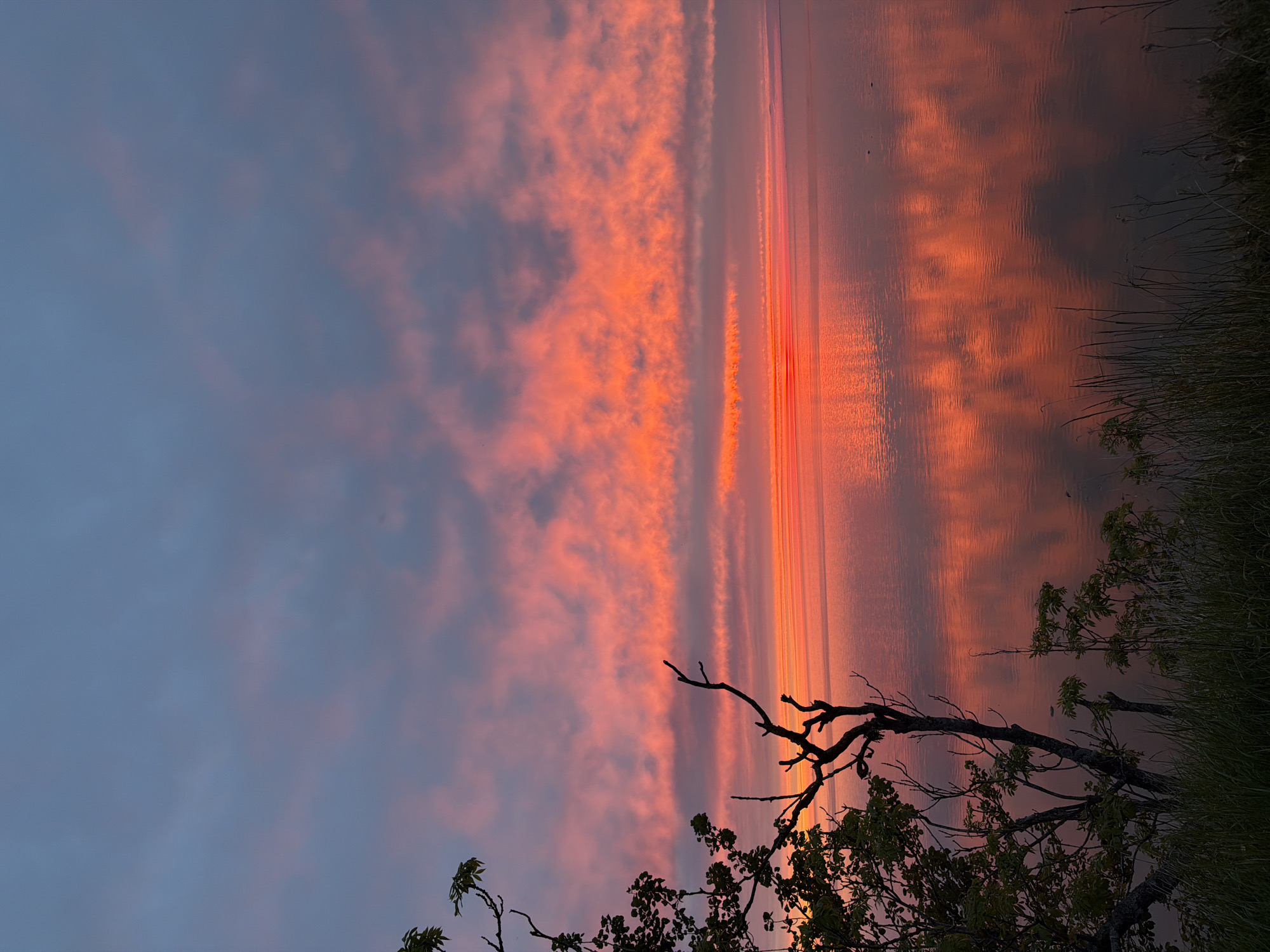 This image depicts a serene natural landscape at dusk in Vääna-Jõesuu, Estonia. The sky is a gradient of colors, transitioning from a deep blue at the top to vibrant shades of orange and red as it nears the horizon, illuminated by the setting sun. Wispy clouds are scattered across the sky, catching the light and reflecting the fiery hues of the sunset.
The horizon line is clearly defined, separating the sky from a vast body of calm water, likely the Baltic Sea, given the location. The water mirrors the colorful sky, creating a shimmering reflection that adds depth and beauty to the scene. Subtle ripples on the water's surface suggest a gentle breeze.
In the foreground, to the left and extending slightly into the frame, are the silhouettes of trees. The branches are bare, indicating it may be late spring or early autumn, or simply a species with less dense foliage. The leaves of one tree are a deep green, contrasting with the muted tones of the sky and water. In the lower right corner, tall grasses and other low-lying vegetation are visible, forming a natural border to the scene. The overall impression is one of tranquility and natural beauty, characteristic of the coastal environment of Vääna-Jõesuu. No people are visible in the image.