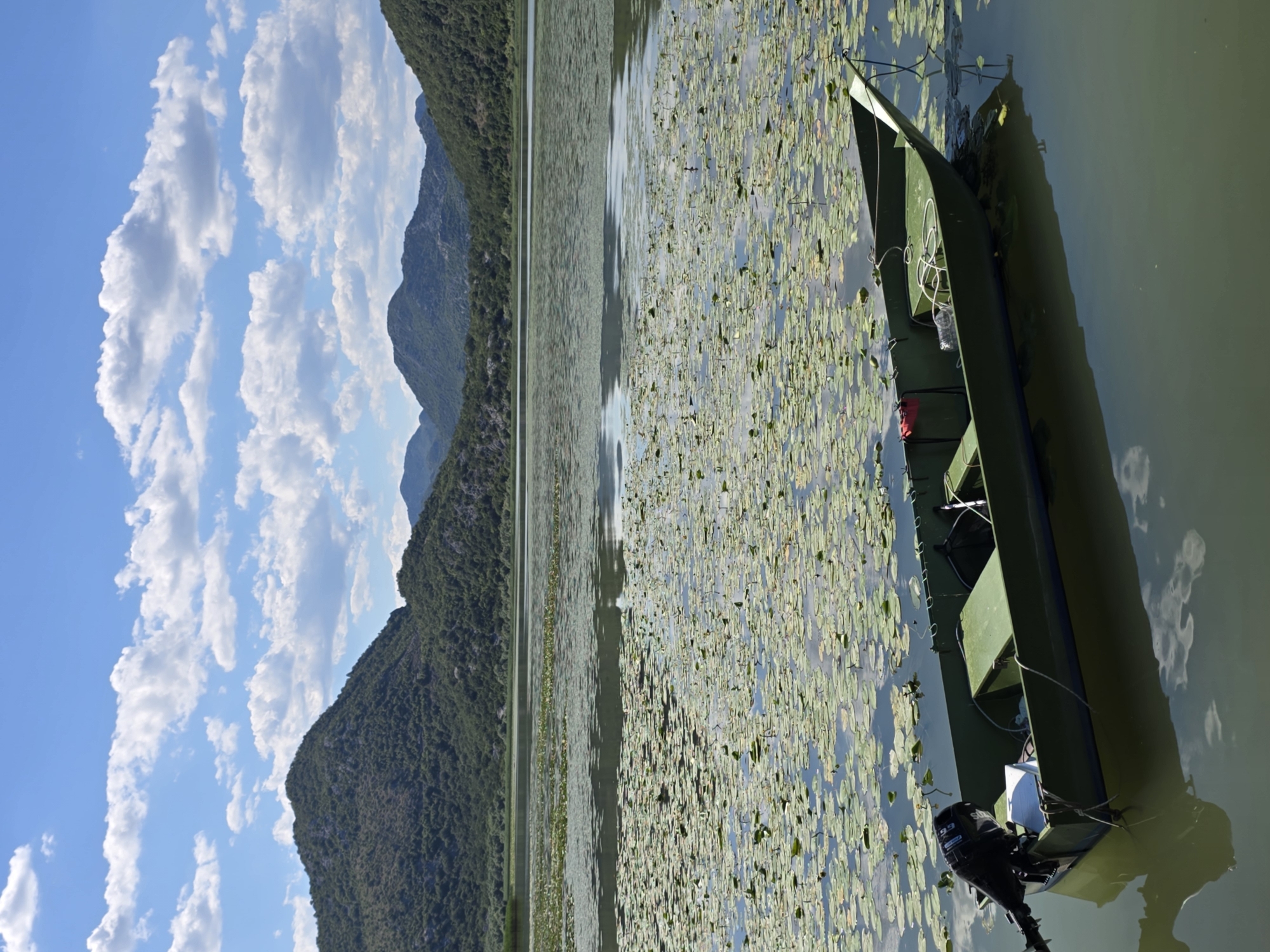 A green motorboat is moored in the foreground on a body of water covered with lily pads. The boat has an outboard motor attached to the stern and appears empty. In the middle ground, the water continues to be covered with lily pads, stretching towards a distant shoreline. The background features rolling, tree-covered hills under a bright blue sky with scattered white clouds. This scene is located in the vicinity of Seoca, Montenegro.