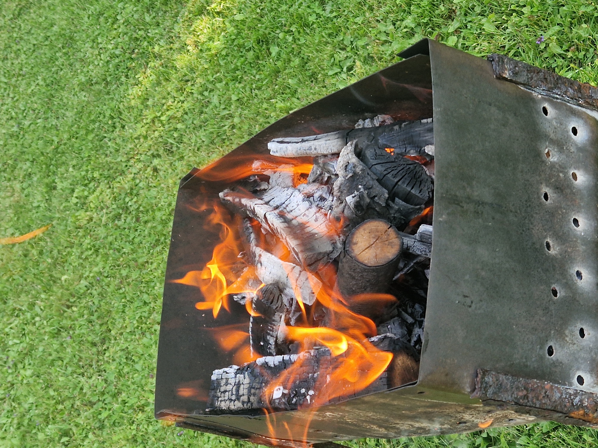 In Zemkopības institūts, Latvia, a metal brazier filled with burning wood sits on a grassy area. The brazier, constructed from dark metal, has a weathered appearance with visible rust and perforations along its lower section. Inside, logs and charred wood are engulfed in vibrant orange flames, casting a warm glow. The surrounding environment is a dense, green lawn dotted with small clover-like plants. The scene is captured from a slightly elevated perspective, looking down into the brazier.