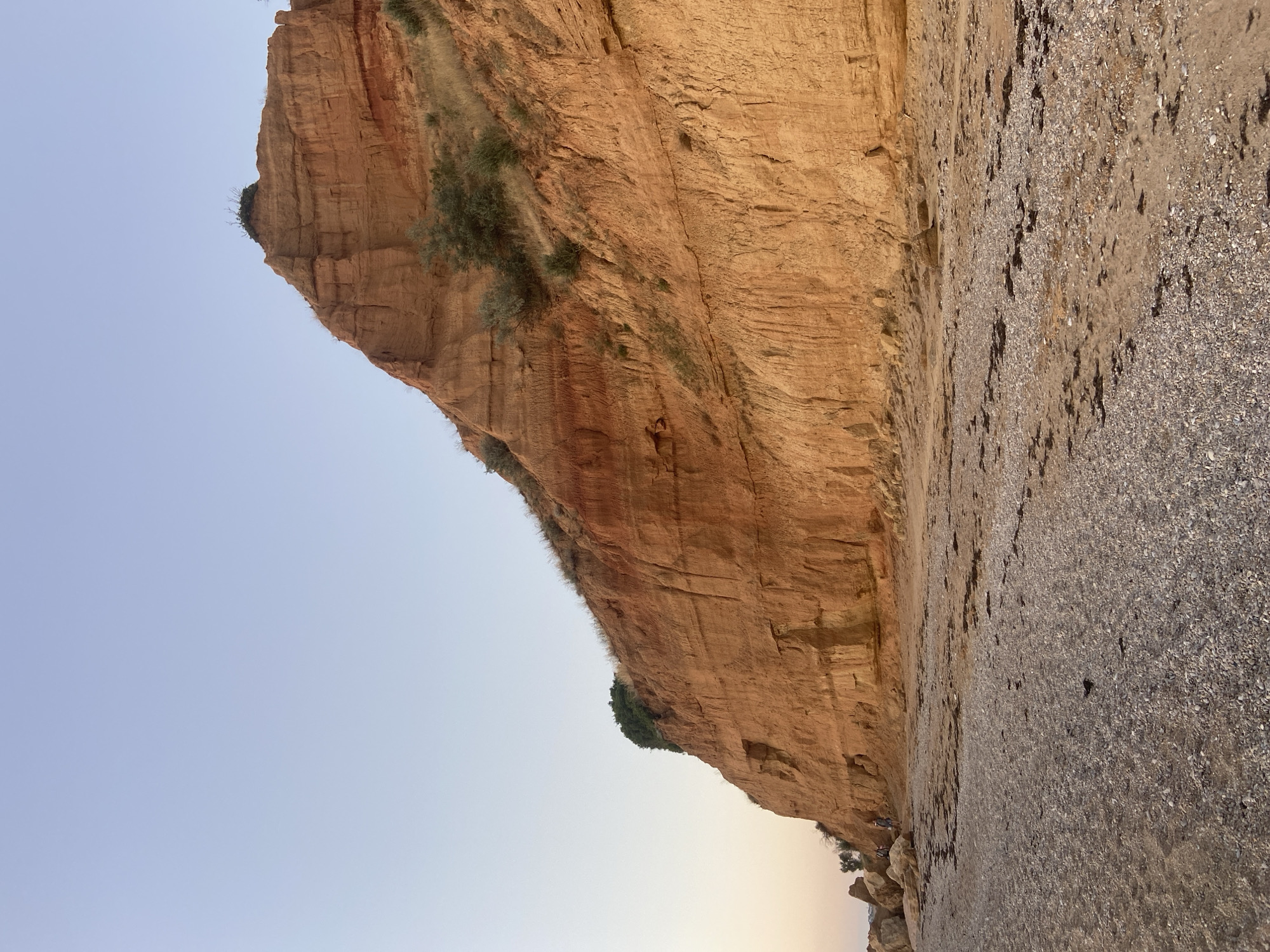 The image shows a wide shot of a cliff face and beach at sunset. The cliff is a prominent geological feature, composed of layered orange and brown earth, with visible strata and erosion patterns. Sparse vegetation, including dry grasses and a few bushes, clings to the upper slopes of the cliff. The beach in the foreground is a mix of sand and small pebbles, with scattered dark seaweed. The sky above is a clear, pale blue, transitioning to a warmer hue near the horizon, indicating the time of day. Two small figures, appearing to be people, are visible on the beach near the base of the cliff on the left side of the image, one standing and the other seemingly walking. The scene is one of natural beauty, with the rugged cliff face contrasting with the serene beach and sky. The general landscape suggests a coastal environment.