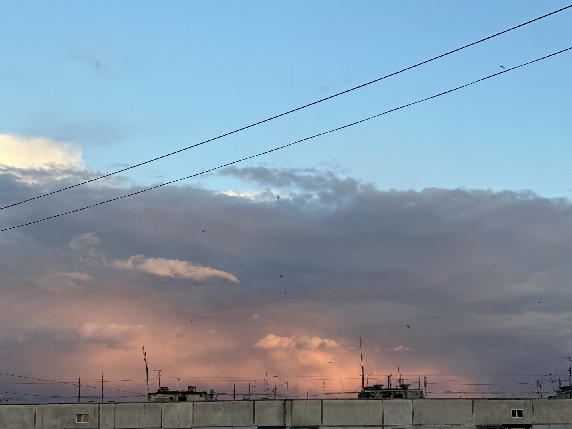 The image shows a cloudy sky over a city building. The sky is predominantly blue with patches of pink and gray clouds, and there are a few birds visible in flight. Two power lines run across the upper part of the frame. Below the sky, a concrete building with several windows and antennas on the roof spans the width of the image. The location is described as Unknown, Unknown.