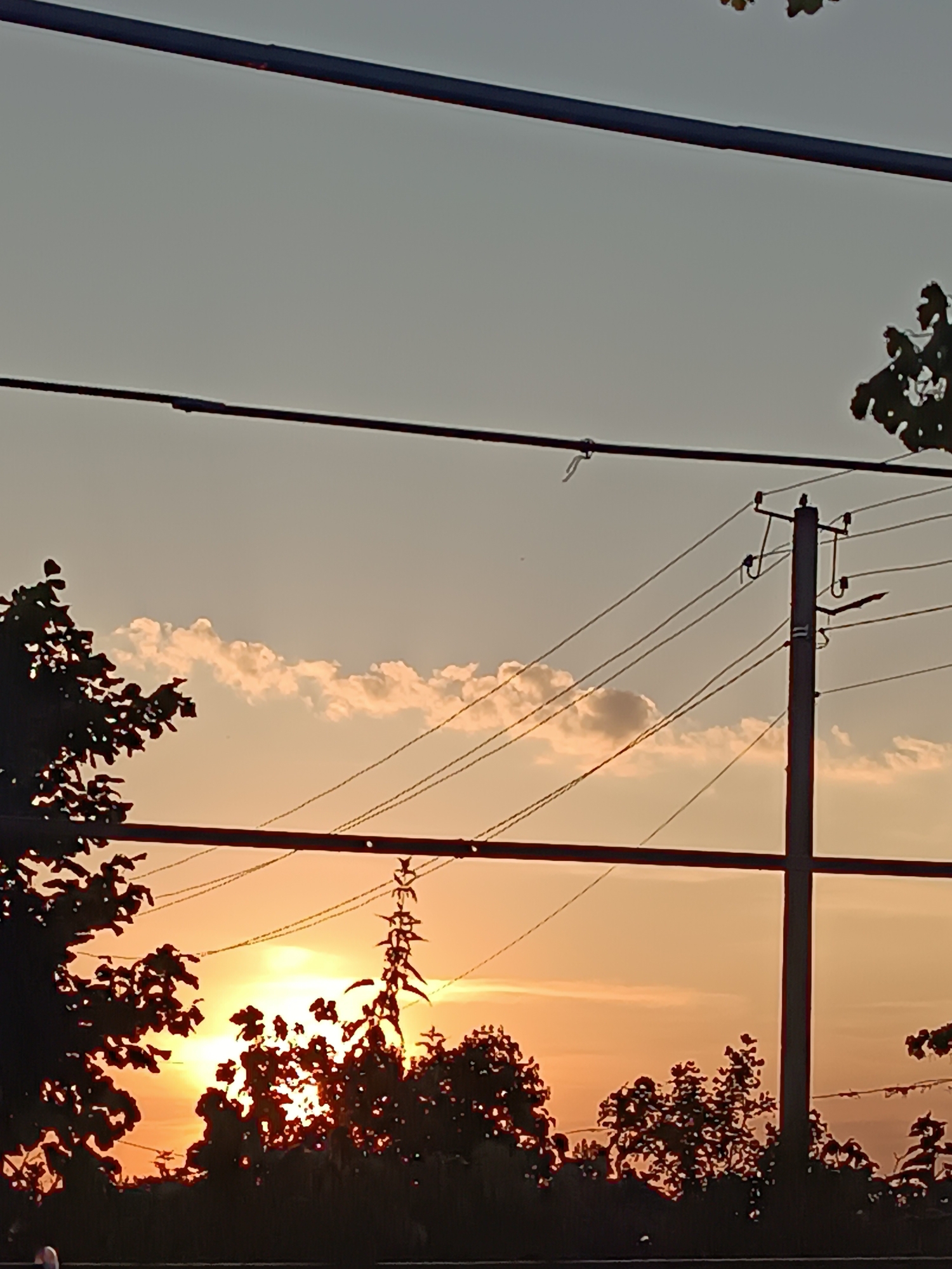 The image depicts a sunset scene in Vypasne, Ukraine, viewed through power lines and silhouetted trees. The sky transitions from a pale gray at the top to a warm orange hue near the horizon. Several power lines crisscross the frame, with a prominent utility pole supporting them on the right side. Fluffy white clouds are scattered across the sky, catching the golden light of the setting sun. The silhouette of trees frames the bottom of the image, partially obscuring the horizon and the bright glow of the sun. The overall impression is one of a tranquil evening in a semi-urban or rural setting.