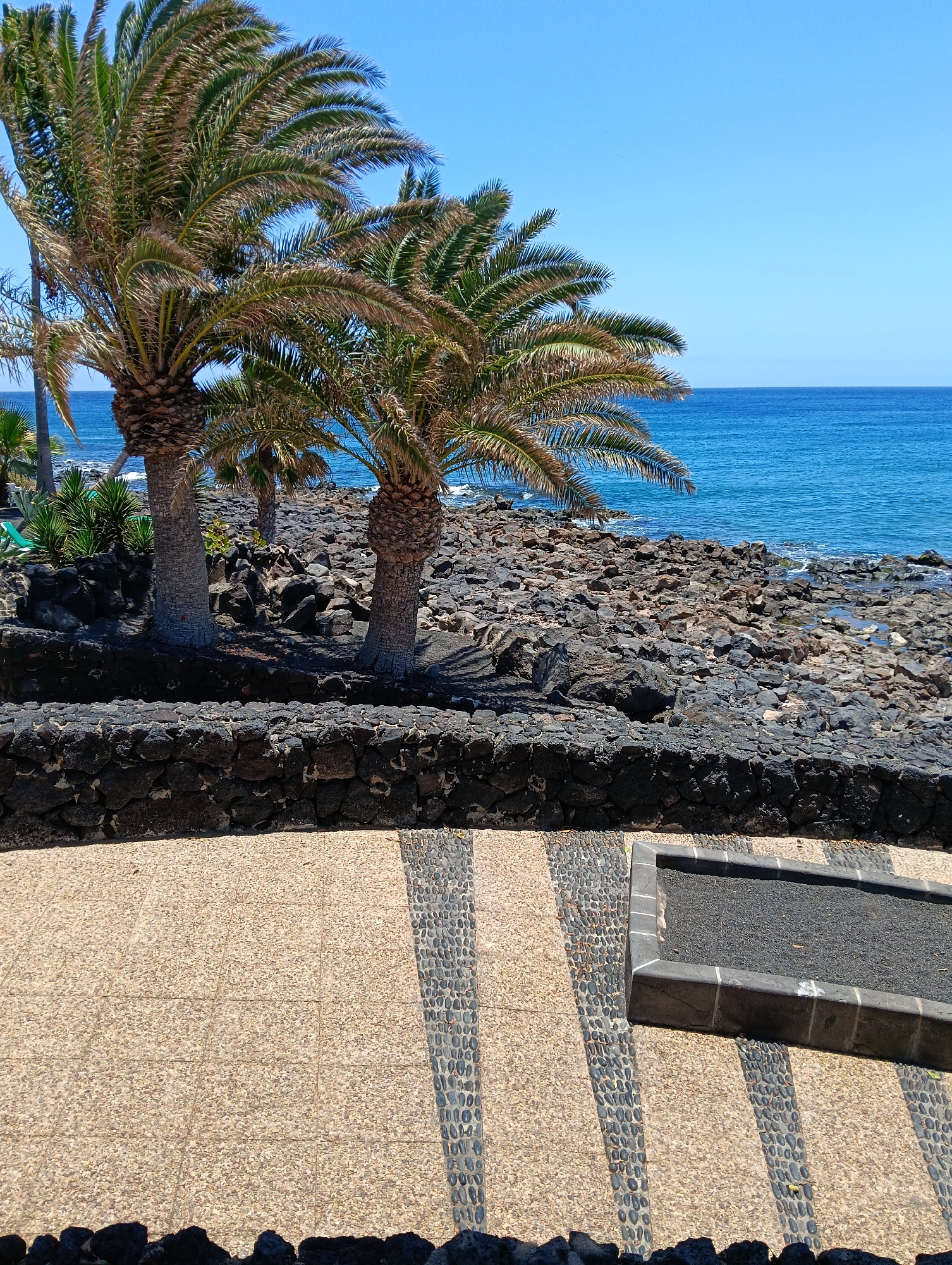 This vibrant image captures a sunny coastal scene in Puerto Del Carmen, Spain. The foreground features a meticulously designed pathway. It is paved with light-colored, small-pebble tiles, interspersed with parallel strips of darker, smooth, oval-shaped pebbles, creating a decorative striped pattern. To the lower right, a rectangular planter or raised border, constructed from dark stone and filled with dark gravel, rests on this patterned surface.
Separating the path from the midground is a low wall made of rough, dark, irregularly shaped volcanic rocks. Behind this wall, the ground is covered entirely with similar dark, jagged volcanic rocks, characteristic of the region. Two prominent palm trees, with sturdy trunks and large, green fronds, stand out in the midground, casting distinct shadows on the rocky terrain beneath them. A glimpse of lush green foliage and possibly a green leisure chair can be seen further back on the left, nestled among more rocks and plants.
In the background, the vast, deep blue Atlantic Ocean stretches out under a clear, bright blue sky, meeting the rocky shoreline. The water appears calm, with gentle waves lapping against the volcanic rocks. The scene is bathed in bright midday sunlight, indicated by the clear shadows and vivid colors. There are no people visible, and no discernible activity is taking place. No text is visible in the image.
