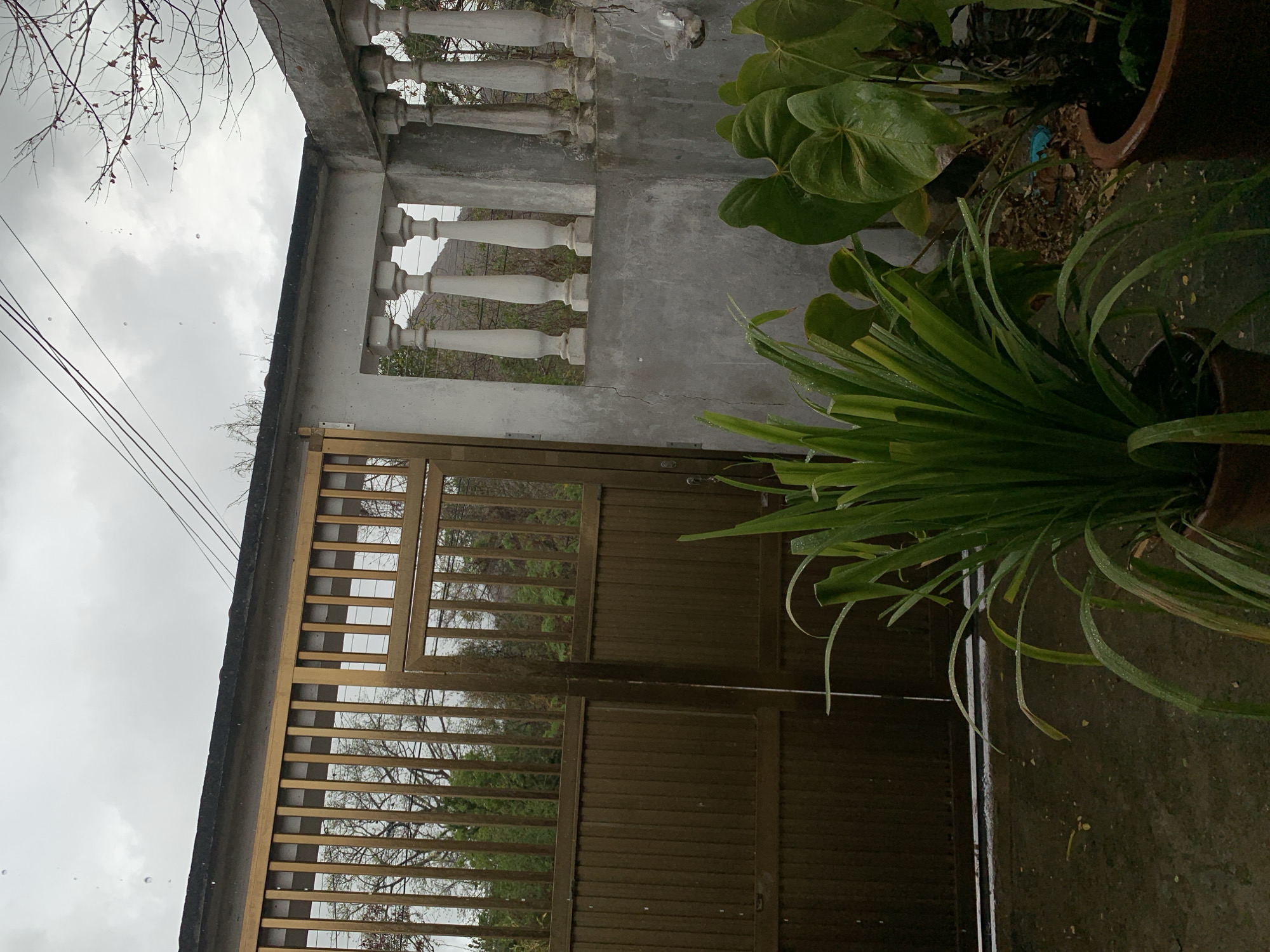 The image captures an outdoor scene in Santa Ana, Venezuela, under an overcast sky with visible raindrops. A two-panel metal gate, finished in a bronze or dark brown color, dominates the left and central areas. Its upper half consists of vertical bars, while the lower portion is solid. A narrower pedestrian gate is integrated into the right panel of the main gate. To the right of the gate, a concrete wall with a rough texture features a section containing seven white or light-colored concrete balusters, providing a view of distant foliage and a faint mountainous horizon. Electrical wires are visible against the cloudy sky in the upper right. In the foreground, two potted plants are visible on a wet, dark concrete or paved surface. The plant in the lower-center has numerous long, narrow green leaves heavily beaded with water droplets. To its right, another potted plant displays larger, broader green leaves also covered in water droplets. The ground is damp, suggesting recent or ongoing rain, with minor debris scattered. No individuals are present in the scene.
