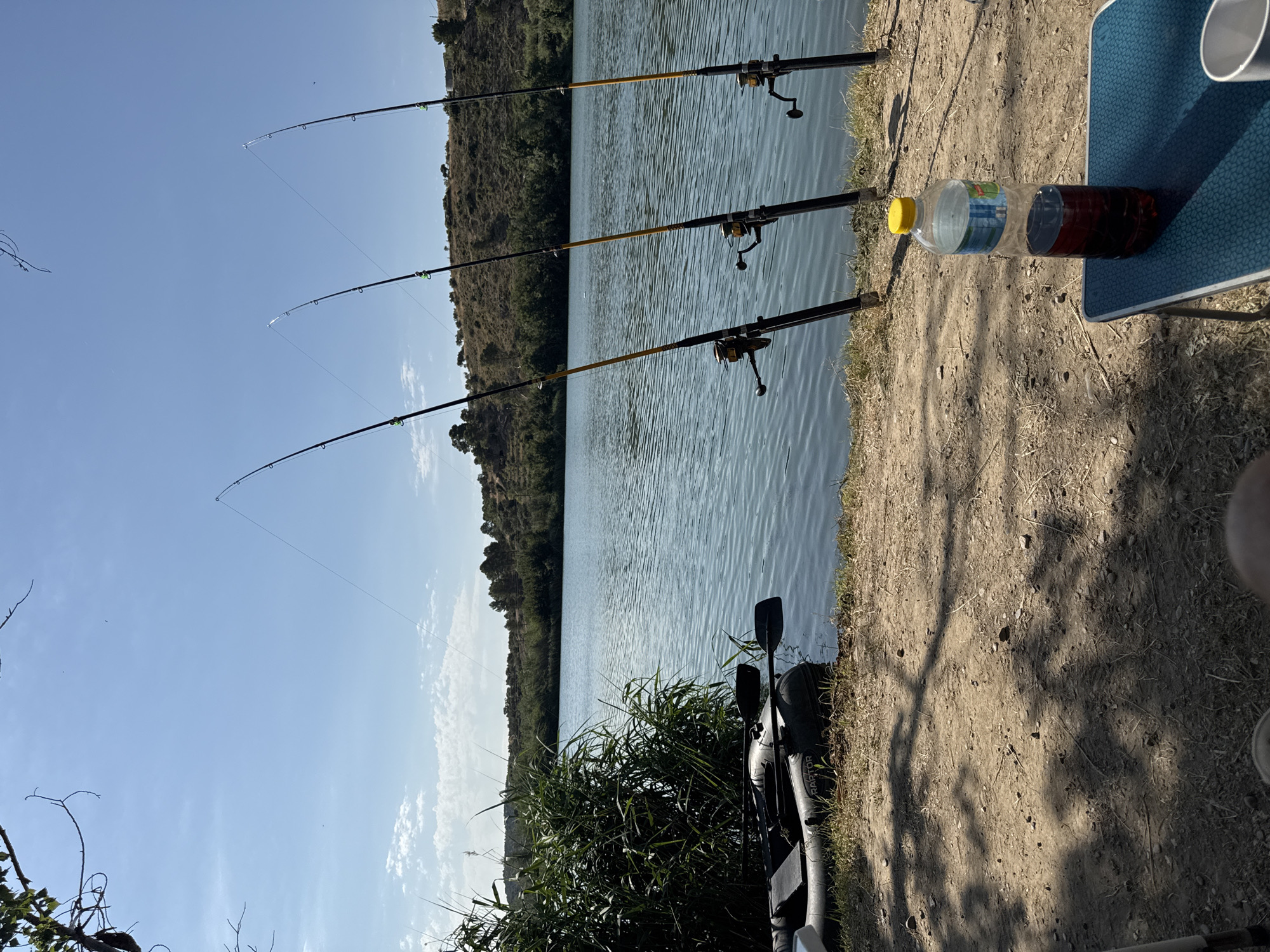 The image shows a serene outdoor scene by a body of water, likely a lake or river. Three fishing rods are set up on the sandy bank, their lines extending into the calm, blue water. The rods are positioned next to some tall, green reeds and a dark-colored kayak or raft, suggesting a fishing or outdoor recreational activity. A partially filled plastic bottle with a yellow cap is visible on a blue patterned mat, and its contents appear to be a dark liquid, possibly a beverage. The background features a lush, tree-covered hillside bathed in sunlight. The sky is a clear, bright blue with a few scattered clouds. The sunlight casting shadows on the ground indicates it is likely daytime. The overall mood is peaceful and relaxed, suitable for a day of fishing or enjoying nature. No people are directly visible in the frame, but the presence of fishing gear and a kayak implies human activity. There is text visible on the kayak, reading "RAPTOR". The bottle also has some visible text and graphics.
