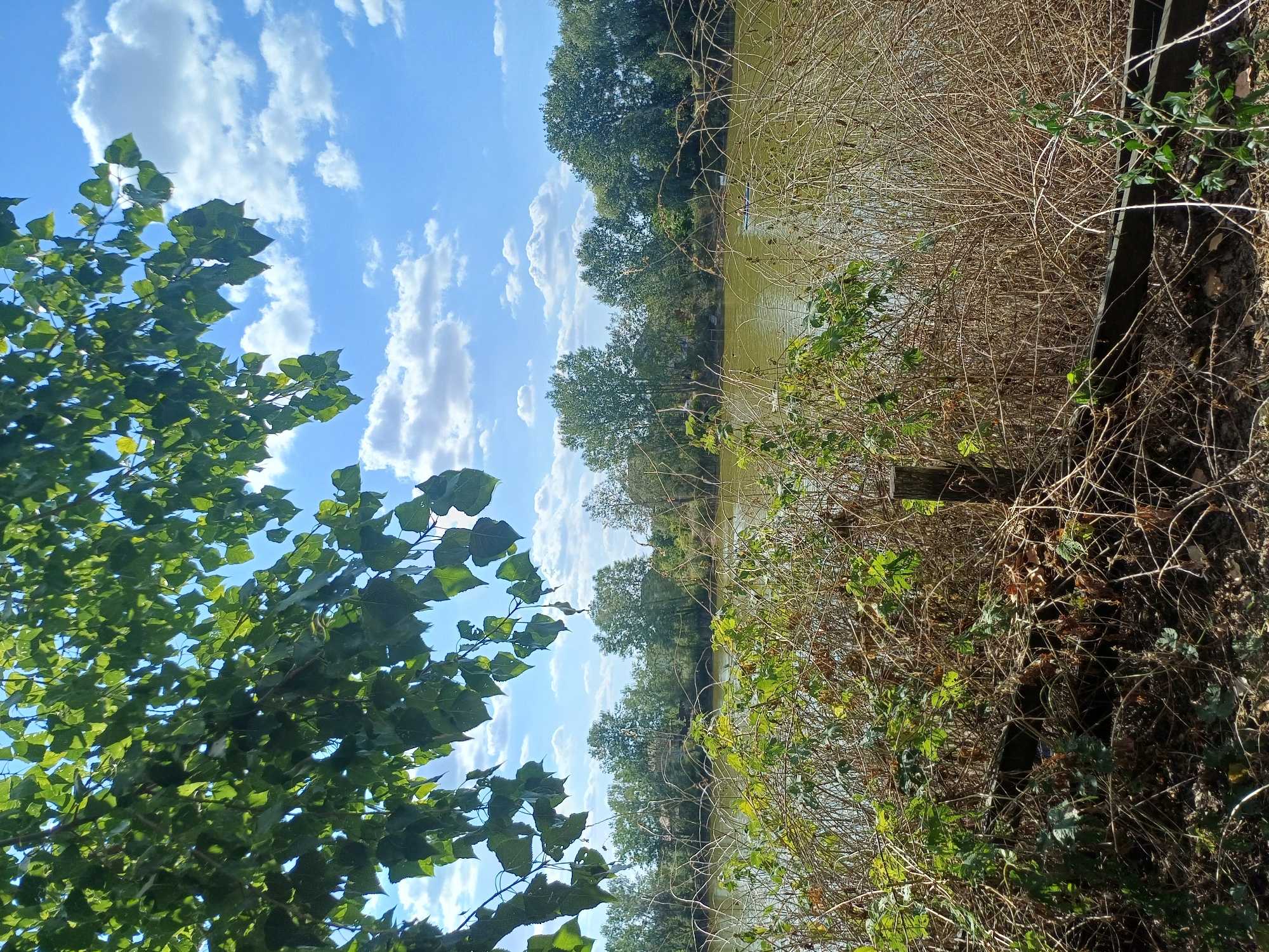 The image depicts a natural scene by a body of water, likely a river or lake, with lush vegetation in the foreground and a treeline along the opposite bank. The sky is blue with scattered white clouds. In the foreground, dense dry brush and some green foliage are visible, with a weathered wooden post standing amidst the dry branches. The water has a murky, greenish-brown hue. The treeline consists of various deciduous trees, appearing healthy and full of leaves. The overall impression is one of a tranquil, natural environment, possibly during late spring or summer. The location is identified as being in the city of Sulymivka, Ukraine. There are no people or animals clearly visible in the frame.